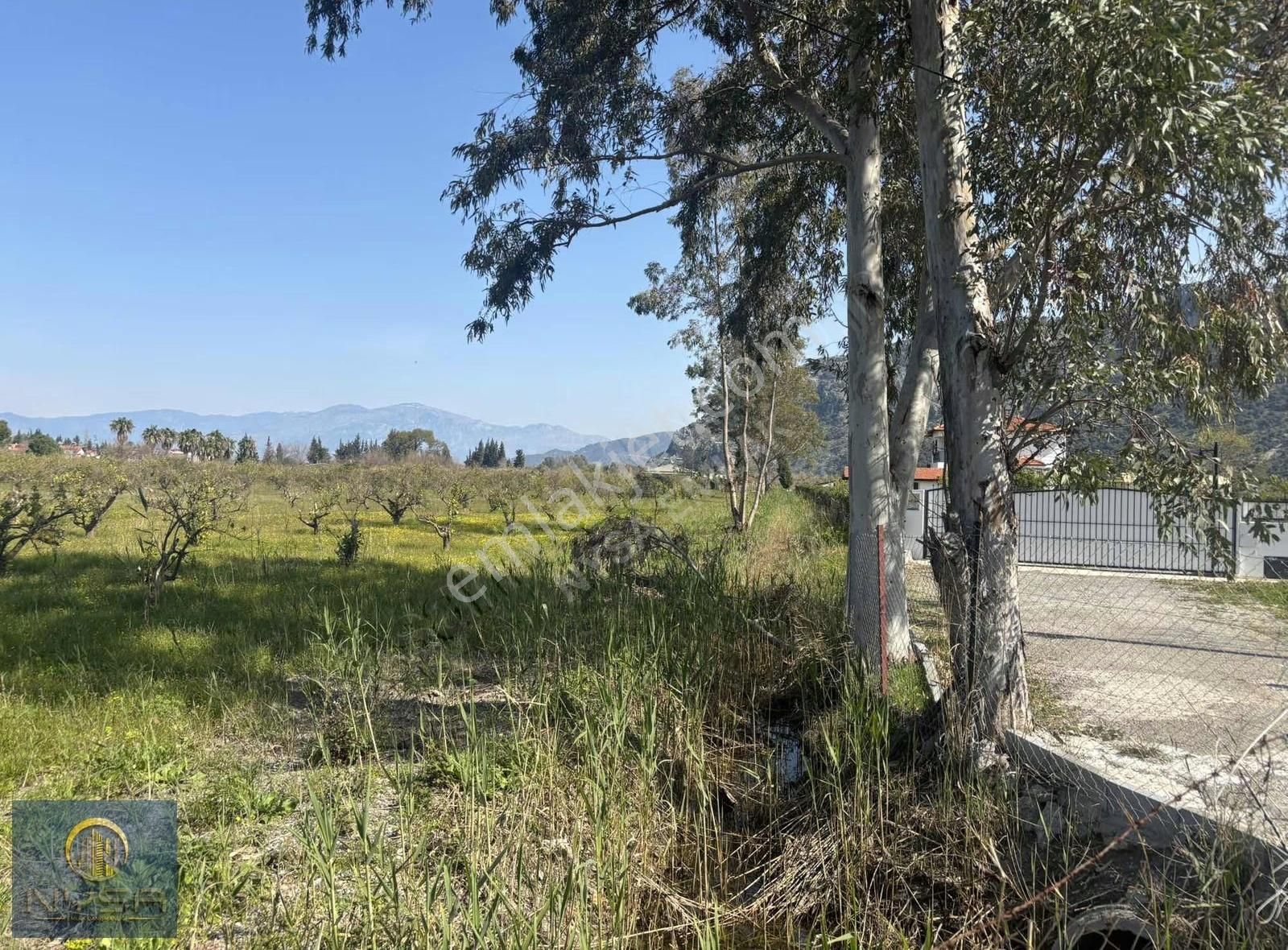 Nysa Emlak'tan Satılık 5.100 M2 Şahsi Tapu Tarla - Görsel 4