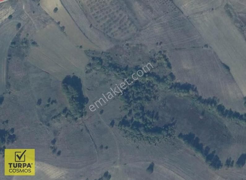 Kocaeli Nebihoca'da 2,3 Dönüm Tek Tapu Tarla