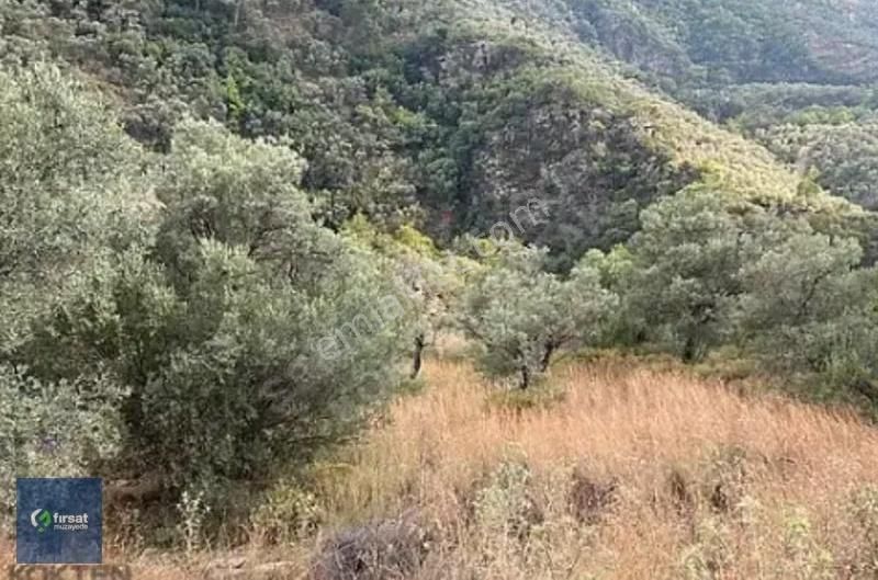 Alırken Kazanmanın Adresi ''fırsat Müzayede'' - Görsel 2