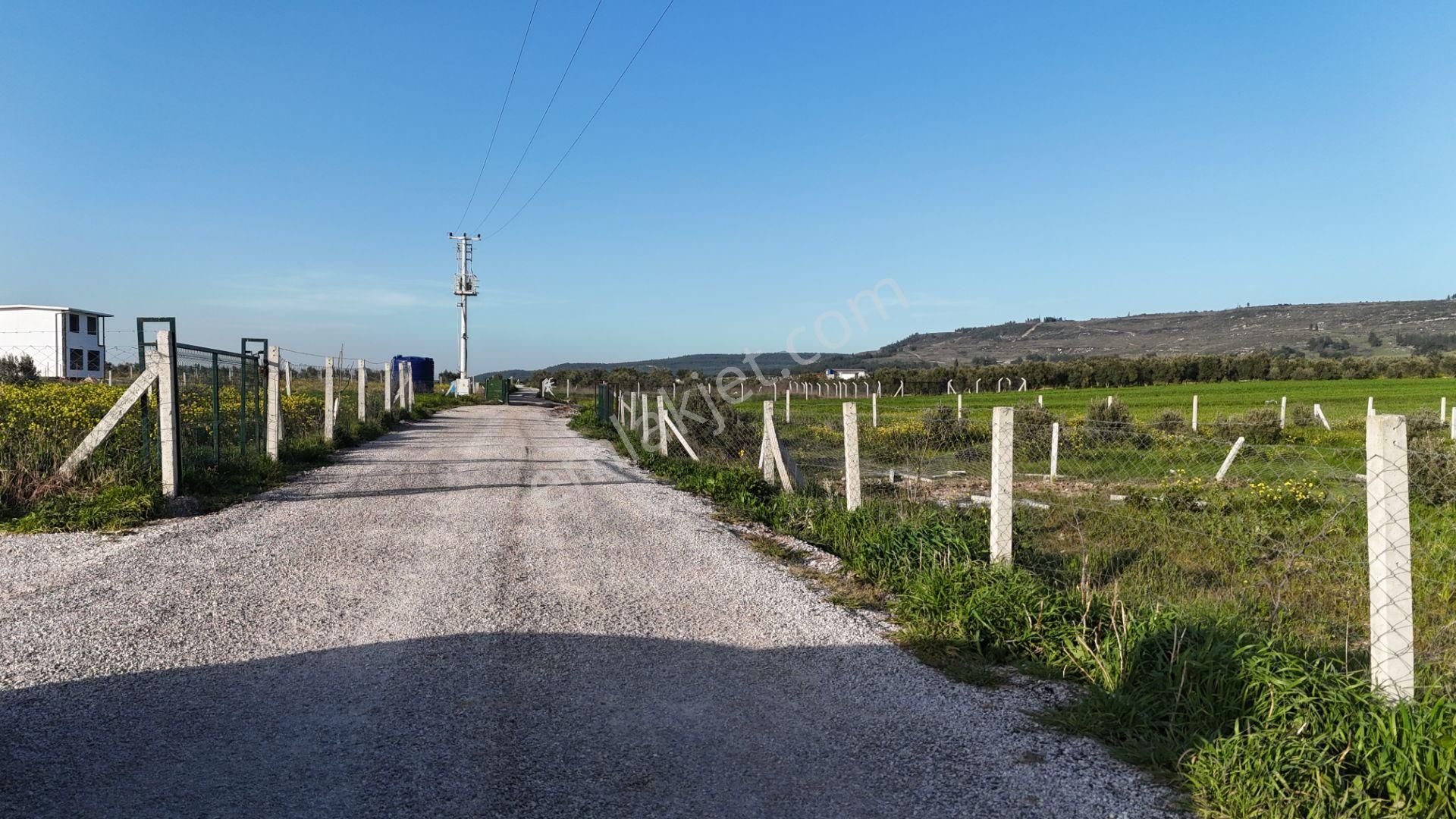 İzmir Menderes Tekeli 2 Ada 1 Parselde 30 Zeytin Ağaçlı 610m2 Hisse Tapulu Tarla - Görsel 2