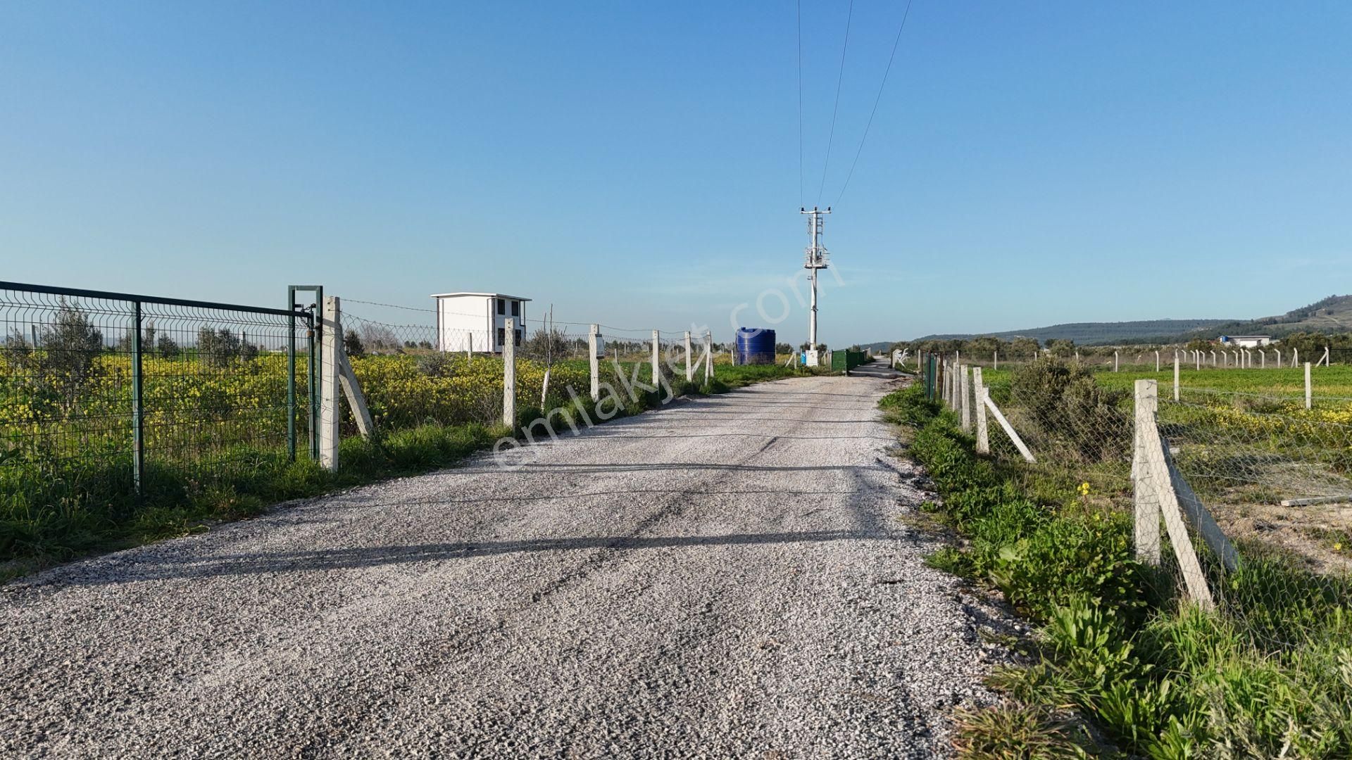 İzmir Menderes Tekeli 2 Ada 1 Parselde 30 Zeytin Ağaçlı 610m2 Hisse Tapulu Tarla - Görsel 4