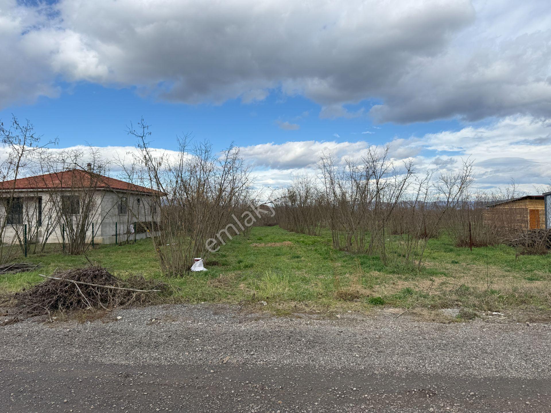 Beyköy-beytepe Mahallesi'nde 594 M2 Satılık Arsa - Görsel 17