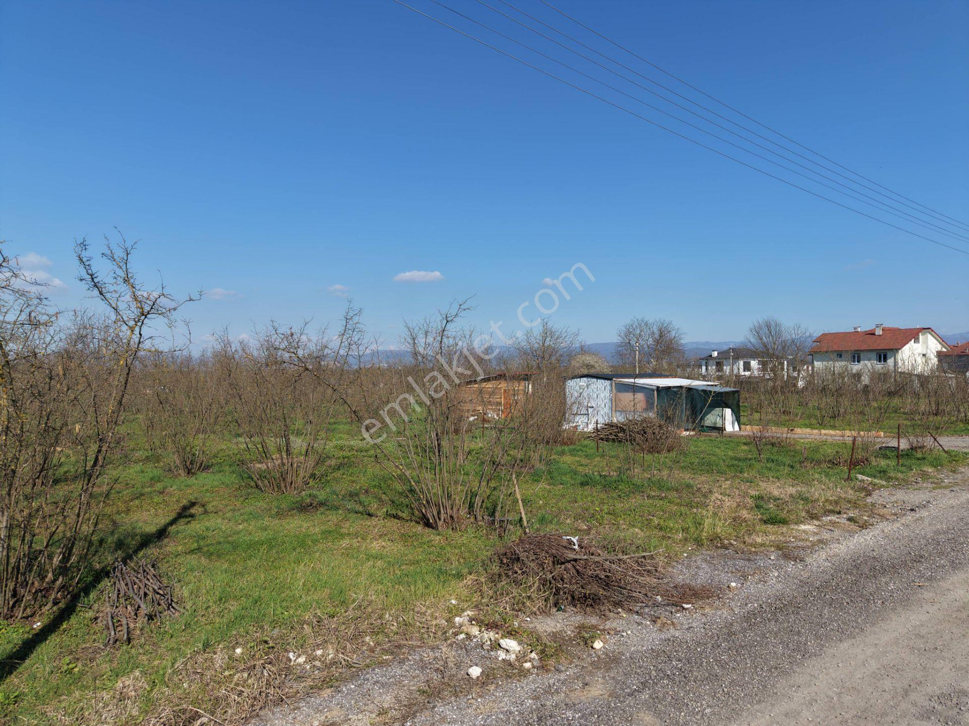 Beyköy-beytepe Mahallesi'nde 594 M2 Satılık Arsa - Görsel 33