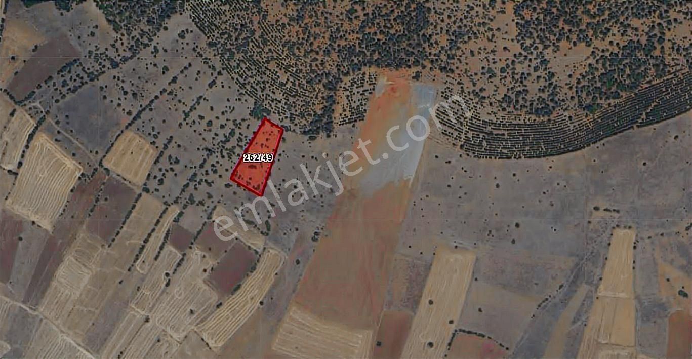 Burdur Yeşilova Yukarı Saldada 4.336 M² Yatırımlık Tarla - Görsel 2