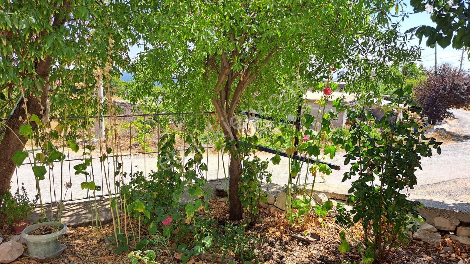 Mersin Silifke Uzuncaburç Yaylası Satılık Bahçeli Müstakil Ev - Görsel 20