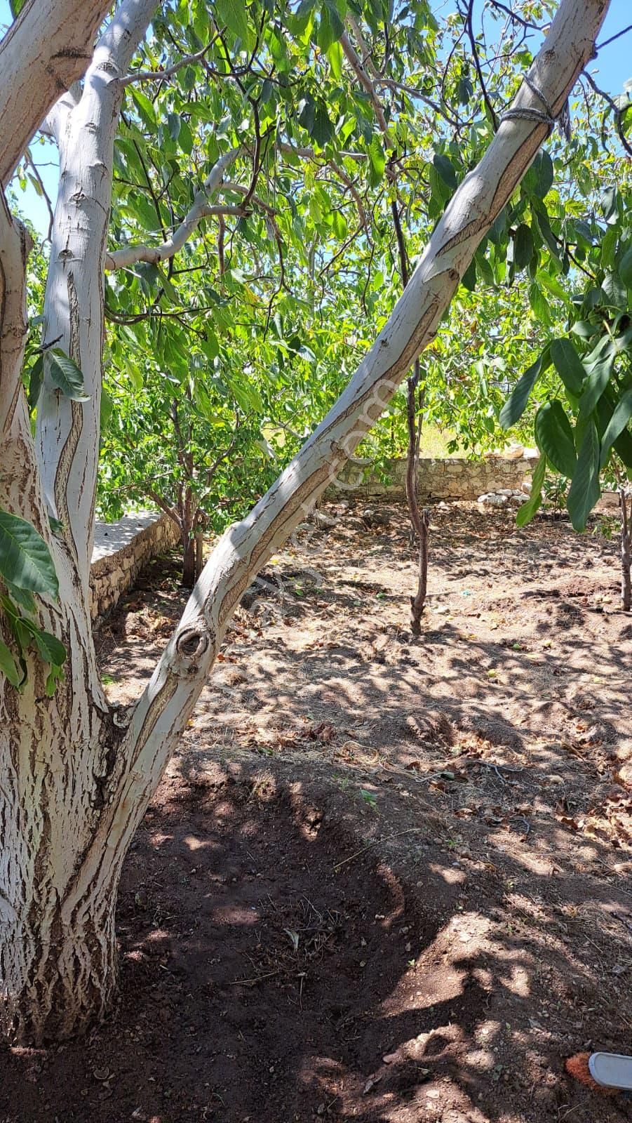 Mersin Silifke Uzuncaburç Yaylası Satılık Bahçeli Müstakil Ev - Görsel 22