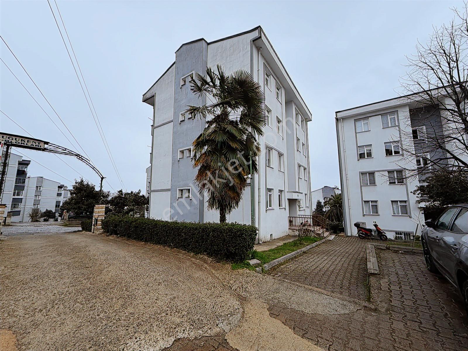 Ordu Altınordu Karşıyaka Kuğukent'te Kiralık 2+1 Daire - Görsel 13