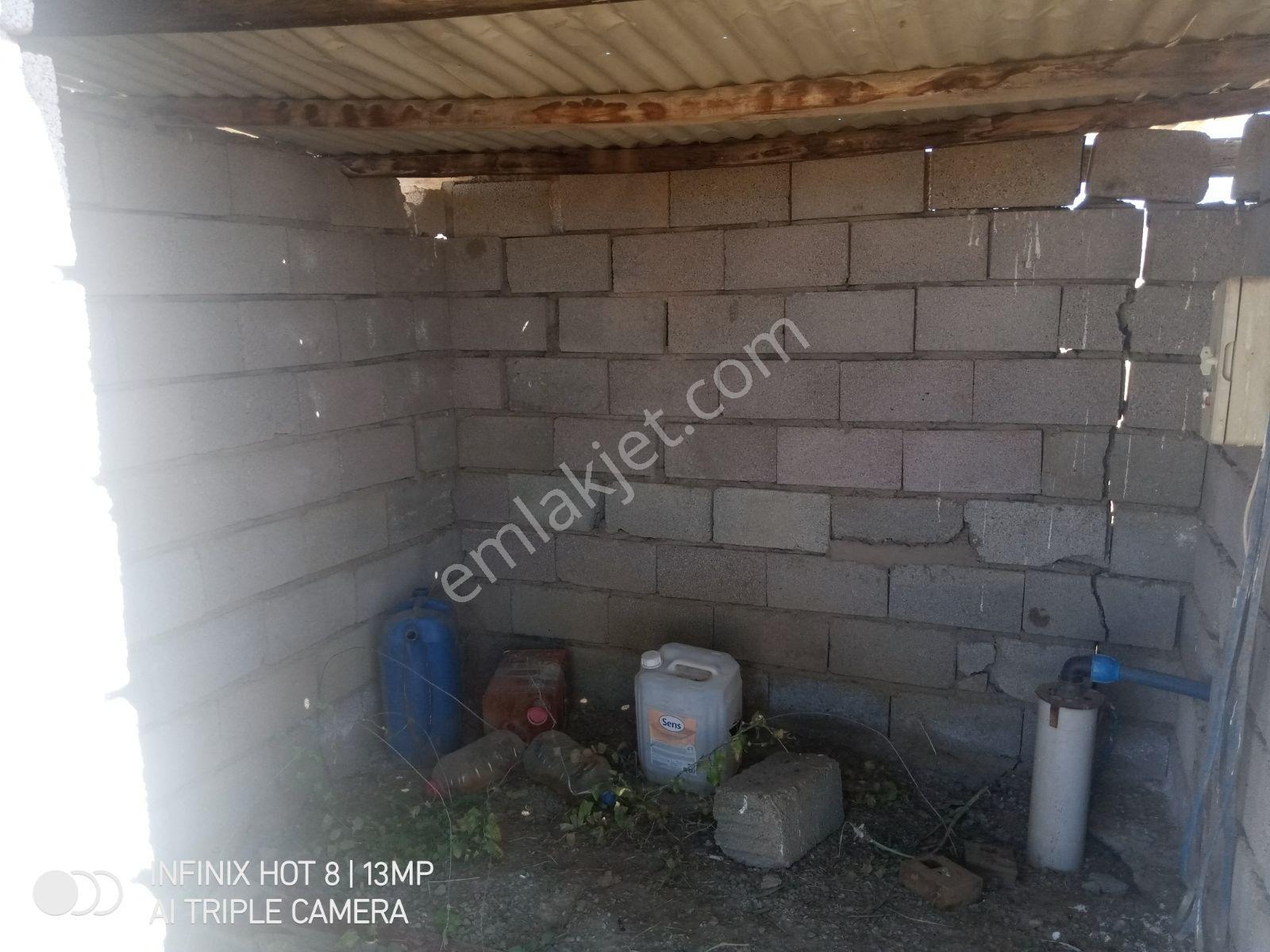 Elazığ Merkez Gözebaşı Artezyeni Olan Satılık Bahçe - Görsel 4