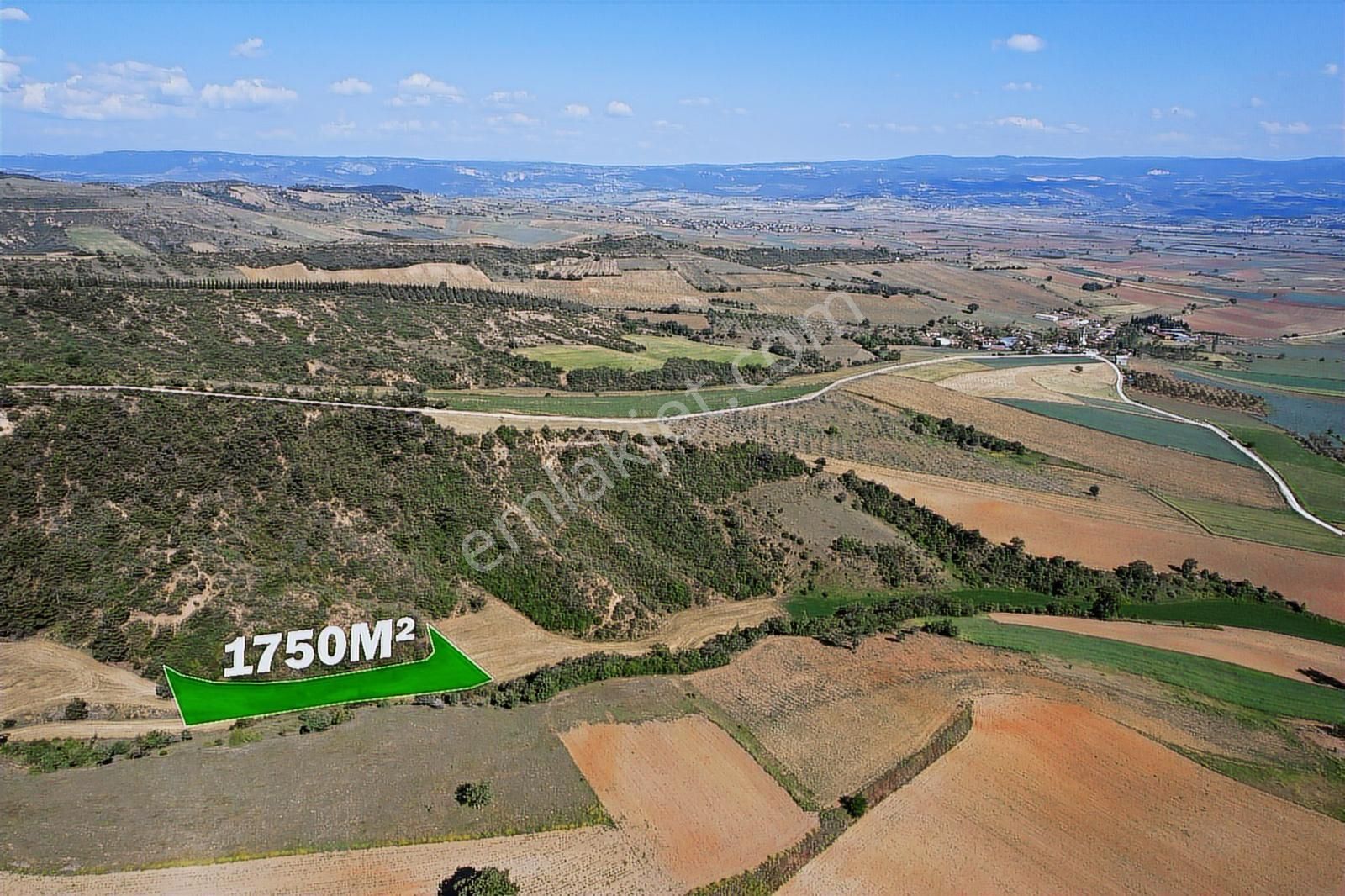 Bursa Yenişehir'dealaylı Köyün'de Fırsat Fiyat Satılık Tarla - Görsel 4