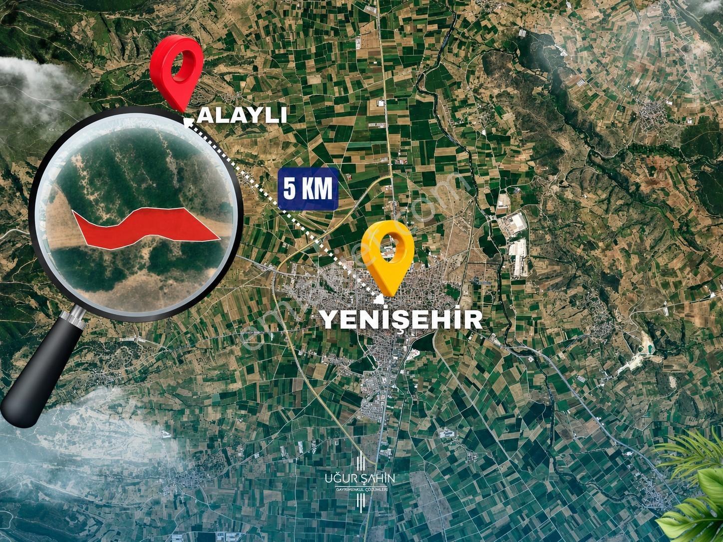 Bursa Yenişehir'dealaylı Köyün'de Fırsat Fiyat Satılık Tarla - Görsel 7