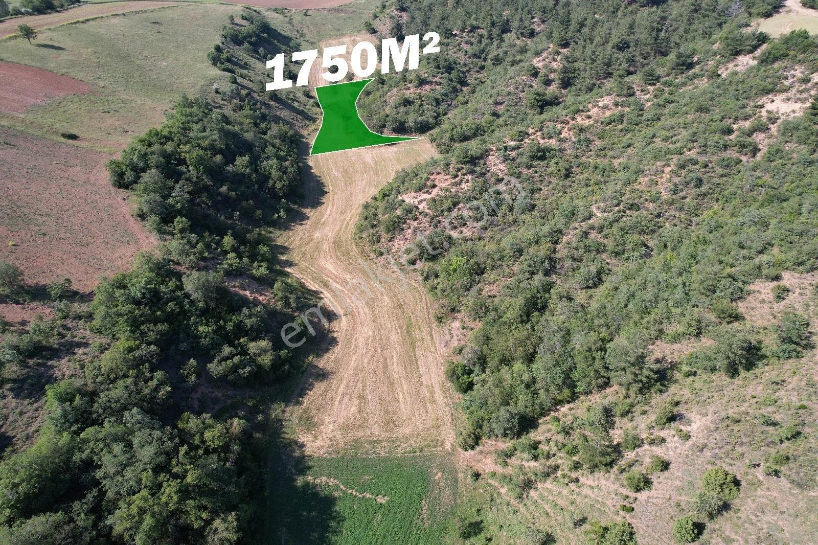 Bursa Yenişehir'de 1750 M2 Fırsat Fiyata Satılık Tarla - Görsel 5