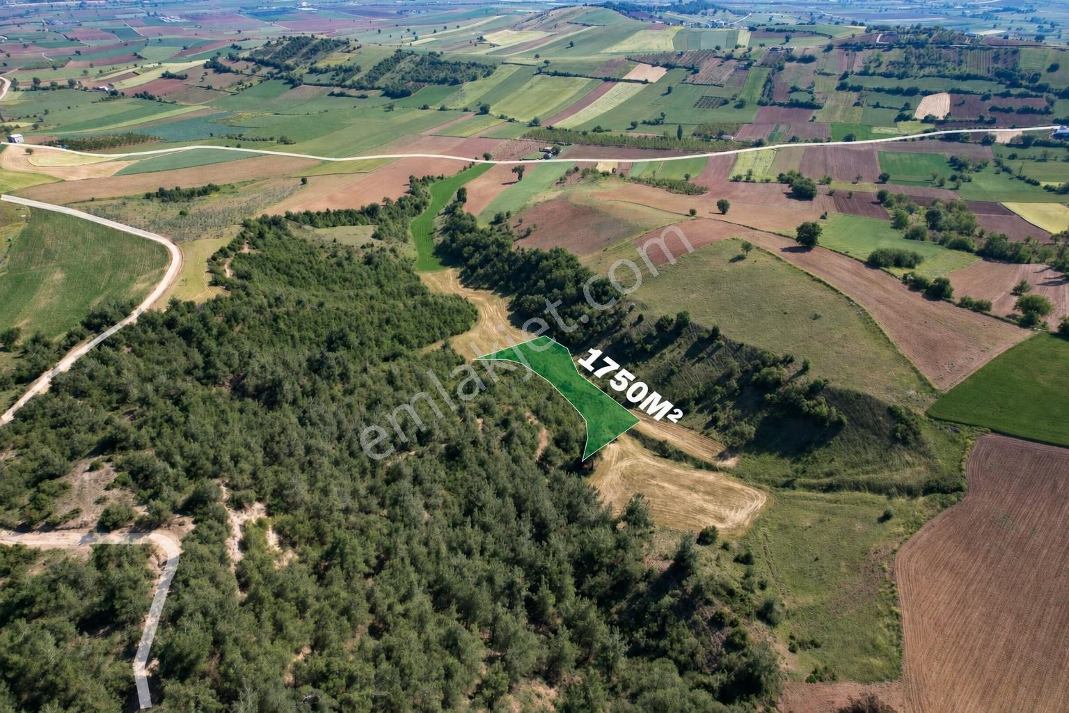 Bursa Yenişehir'de 1750 M2 Fırsat Fiyata Satılık Tarla
