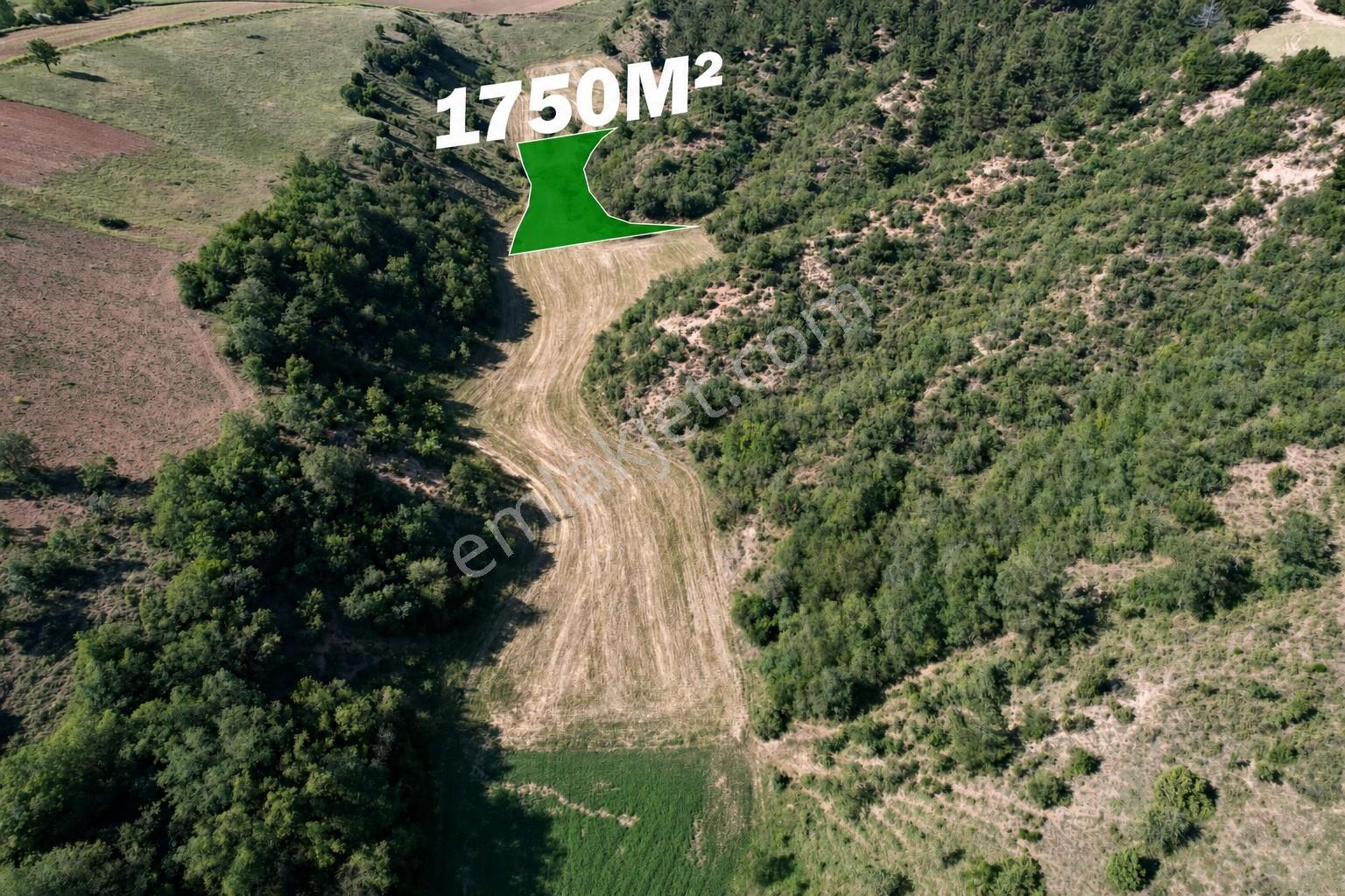 Bursa Yenişehir'de 1750 M2 Fırsat Fiyata Satılık Tarla - Görsel 6