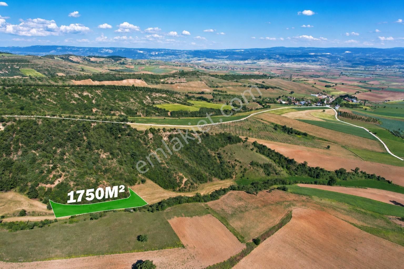 Bursa Yenişehir'de 1750 M2 Fırsat Fiyata Satılık Tarla - Görsel 3