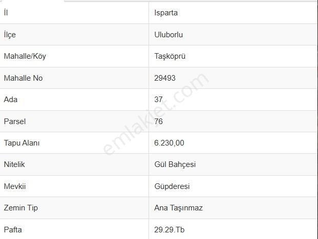 Isparta Uluborlu Taşköprü Merkeze Yakın 6.230 M²yatırımlık Tarla