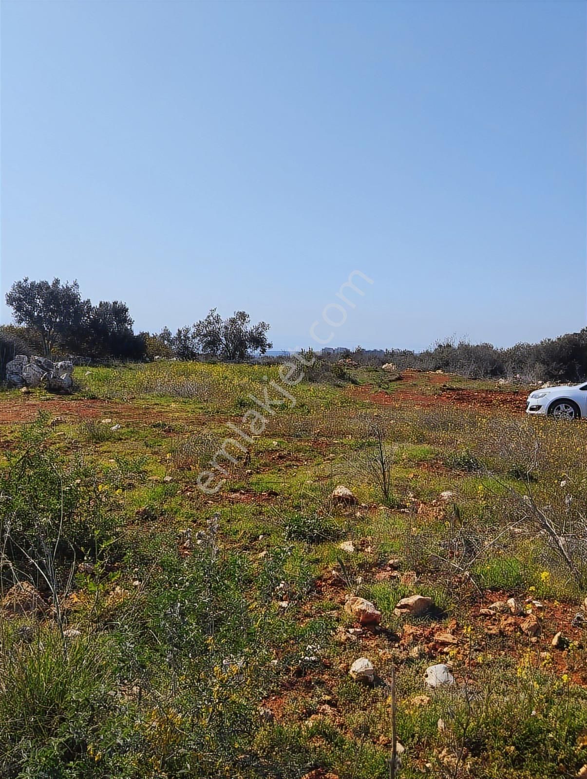 Ayaş Kanlıdivanede Satılık İmar Edilmiş Tarla - Görsel 3