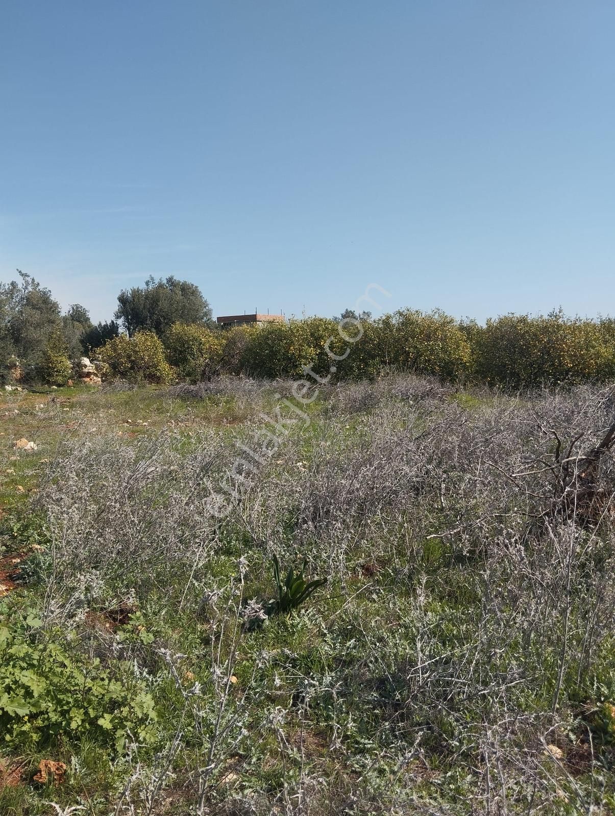 Ayaş Kanlıdivanede Satılık İmar Edilmiş Tarla - Görsel 7