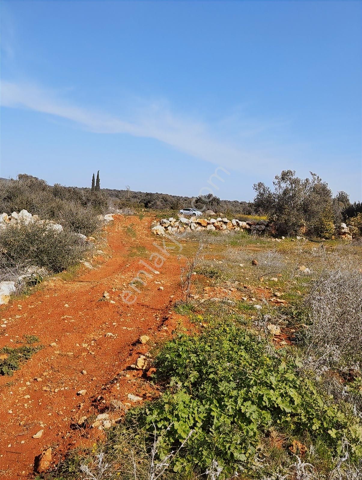 Ayaş Kanlıdivanede Satılık İmar Edilmiş Tarla - Görsel 6