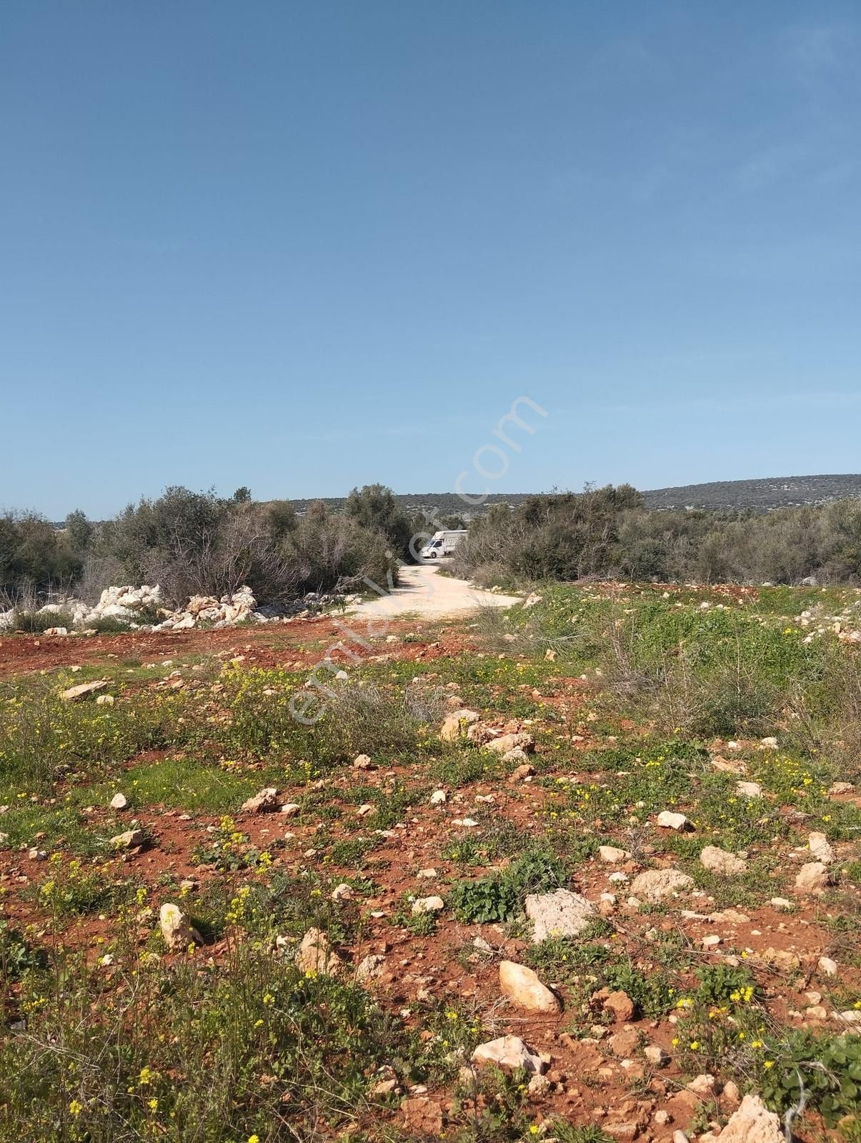 Ayaş Kanlıdivanede Satılık İmar Edilmiş Tarla - Görsel 2
