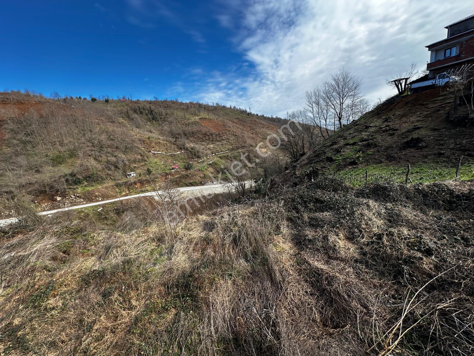 Trabzon Araklı'da Satılık Arazi - Görsel 19