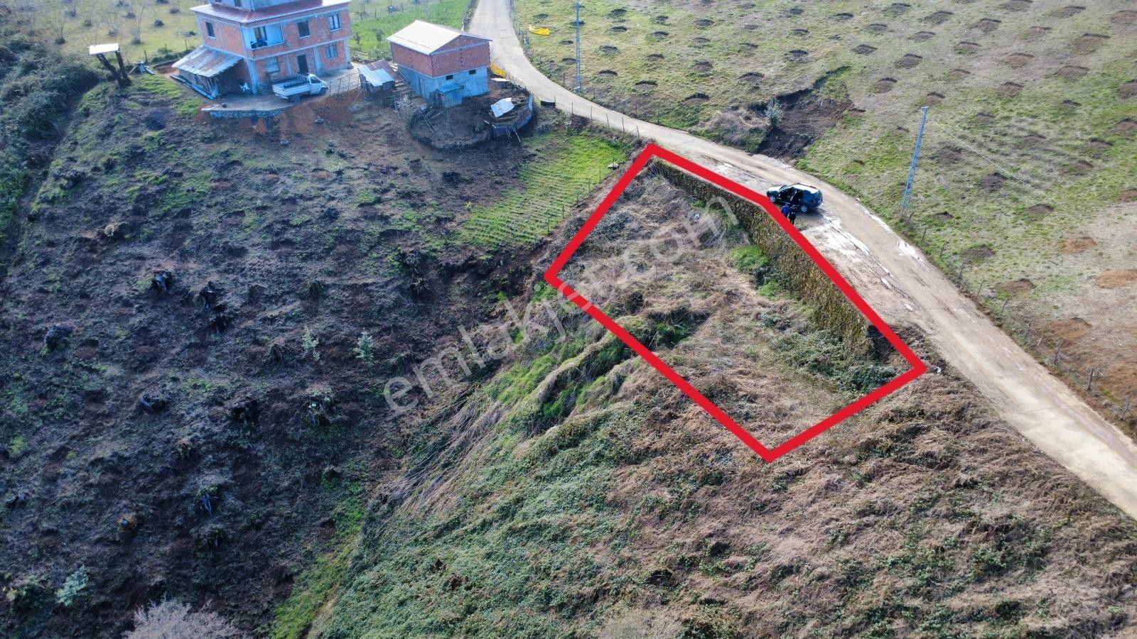 Trabzon Araklı'da Satılık Arazi - Görsel 5