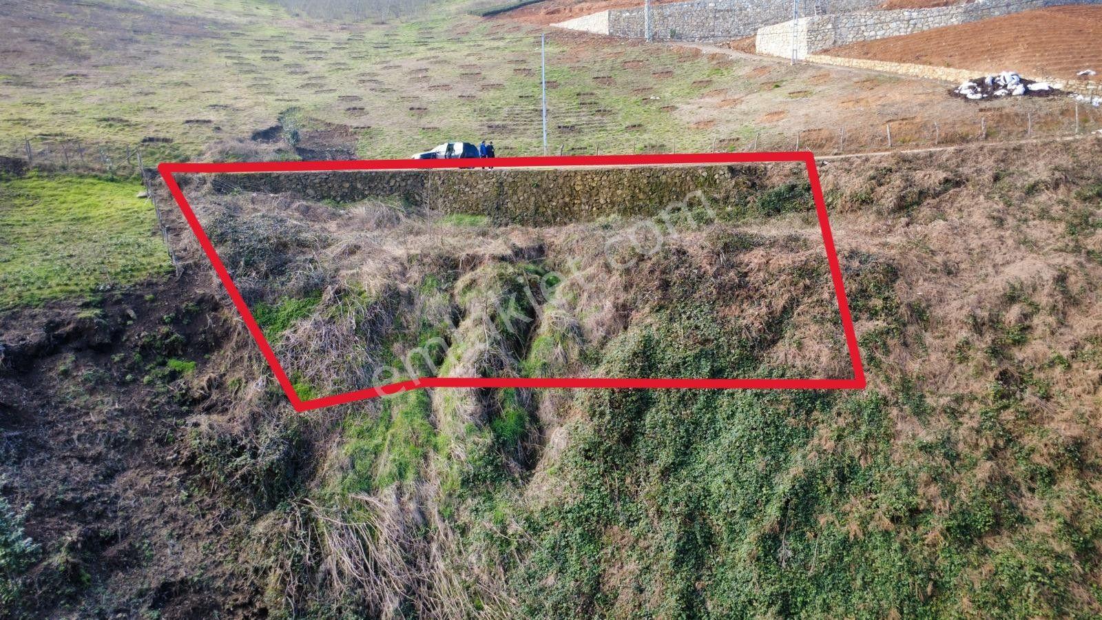 Trabzon Araklı'da Satılık Arazi - Görsel 16