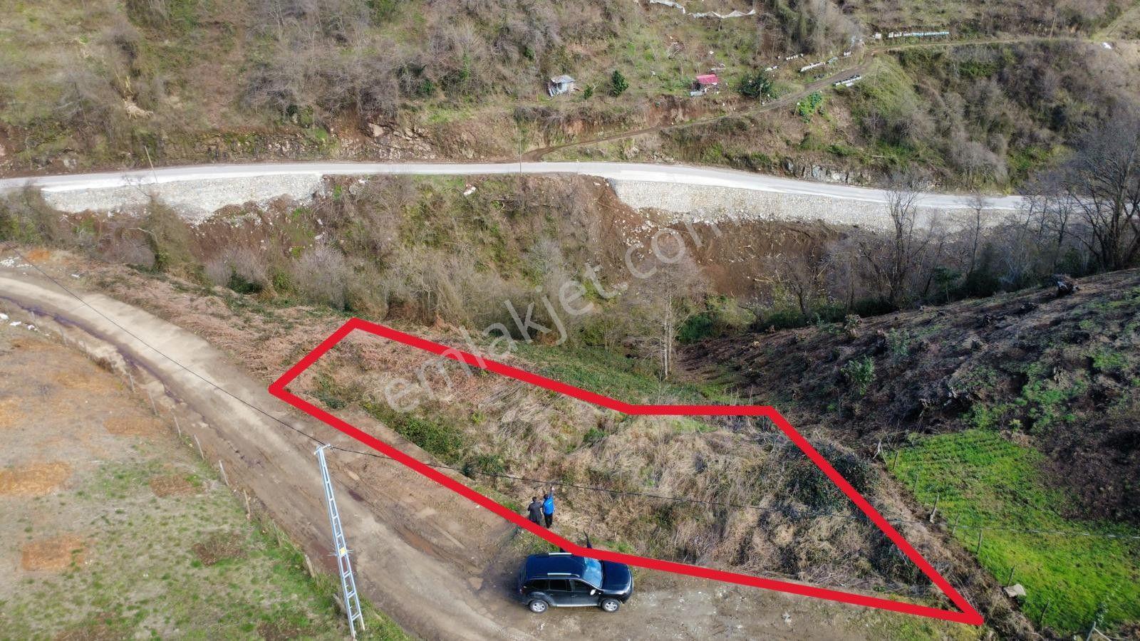 Trabzon Araklı'da Satılık Arazi - Görsel 2