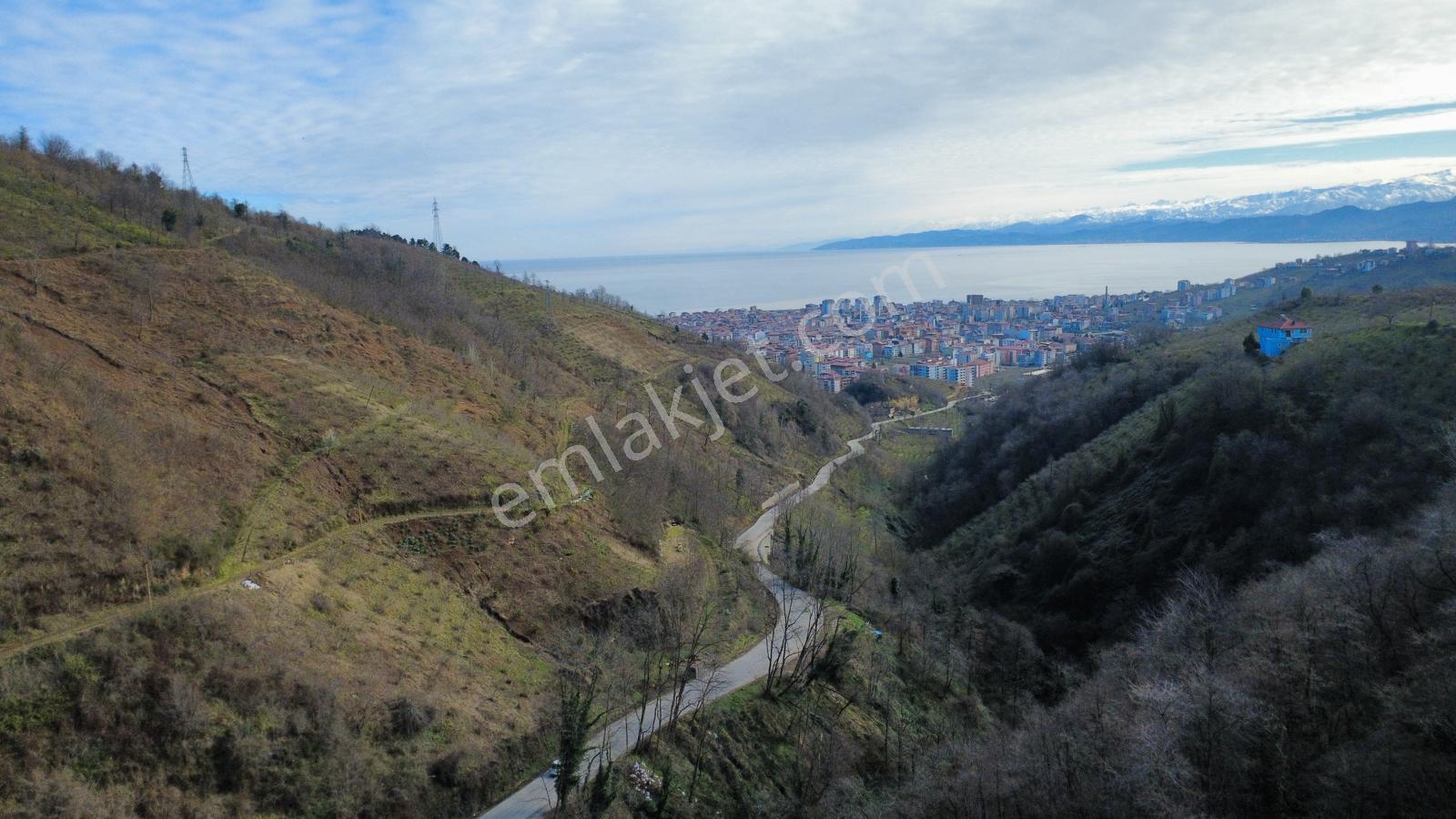 Trabzon Araklı'da Satılık Arazi - Görsel 29