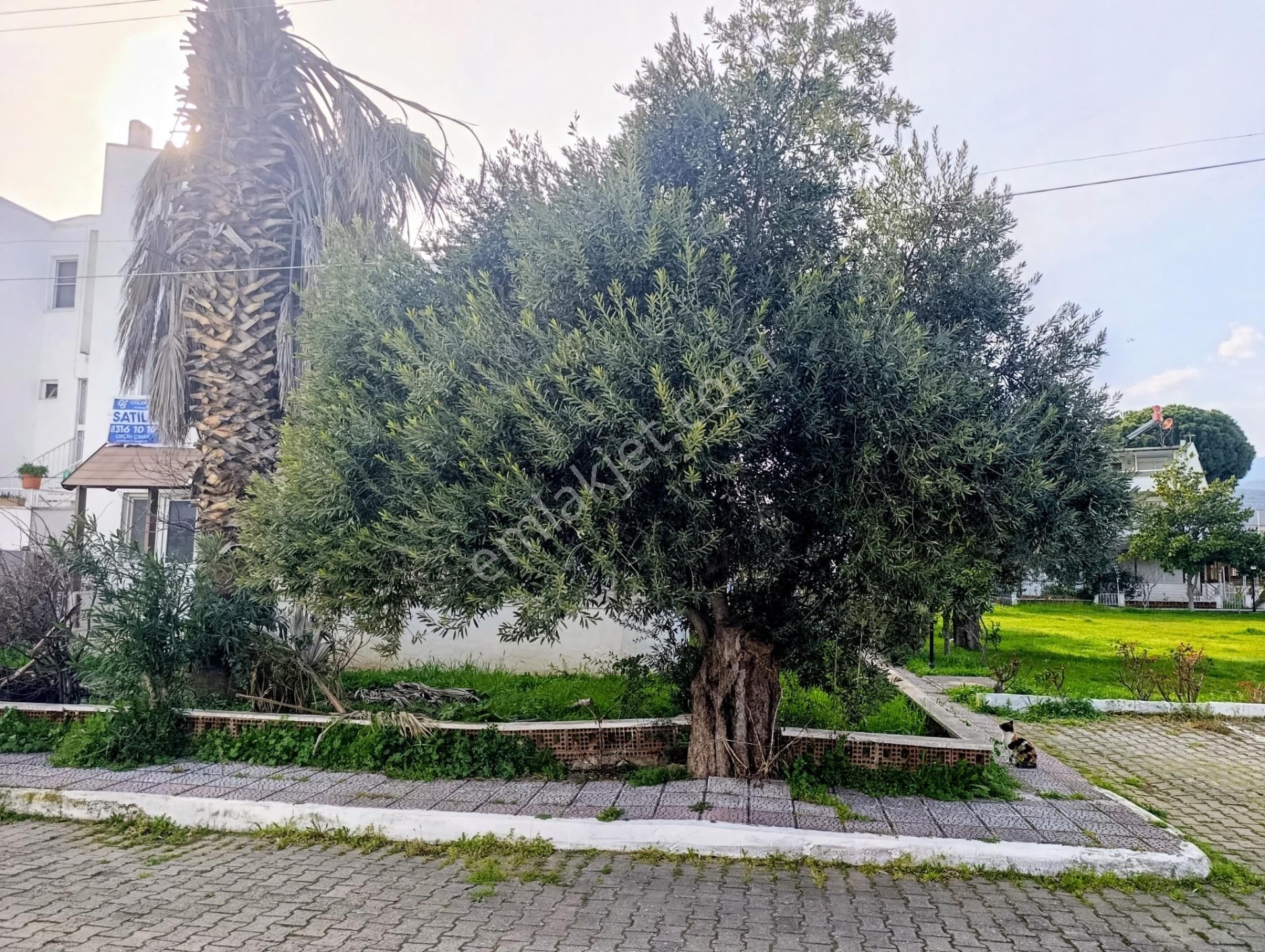 Güre’de Denize 100 Metre Mesafede Tripleks 5+1 Villa - Görsel 11
