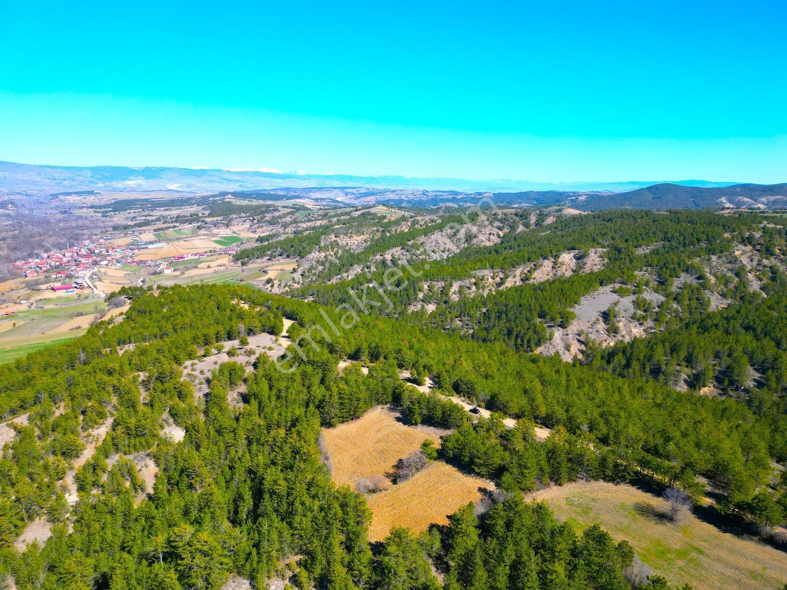 Satılık Saklı Cennet! 7 Dönüm Arazi,3.500 M2'si Özel Çam Ormanlı - Görsel 30