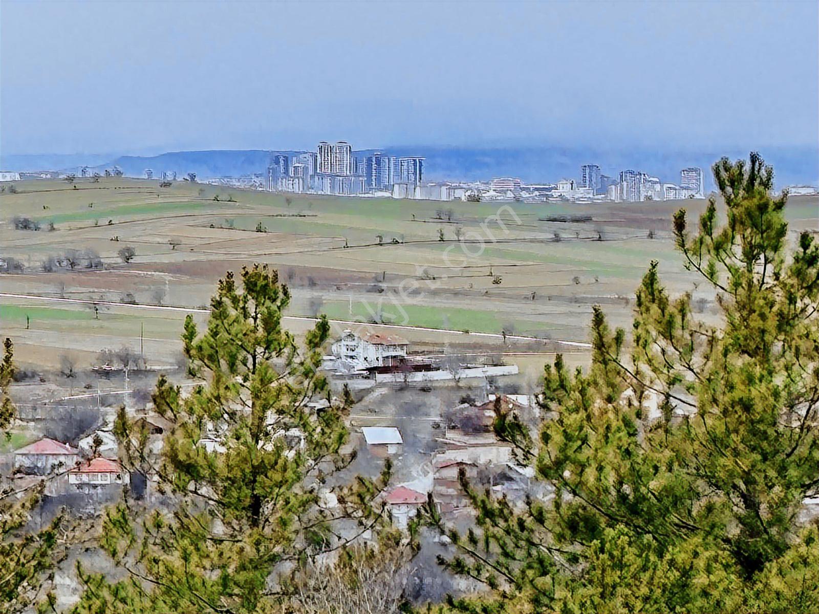 Satılık Saklı Cennet! 7 Dönüm Arazi,3.500 M2'si Özel Çam Ormanlı - Görsel 8