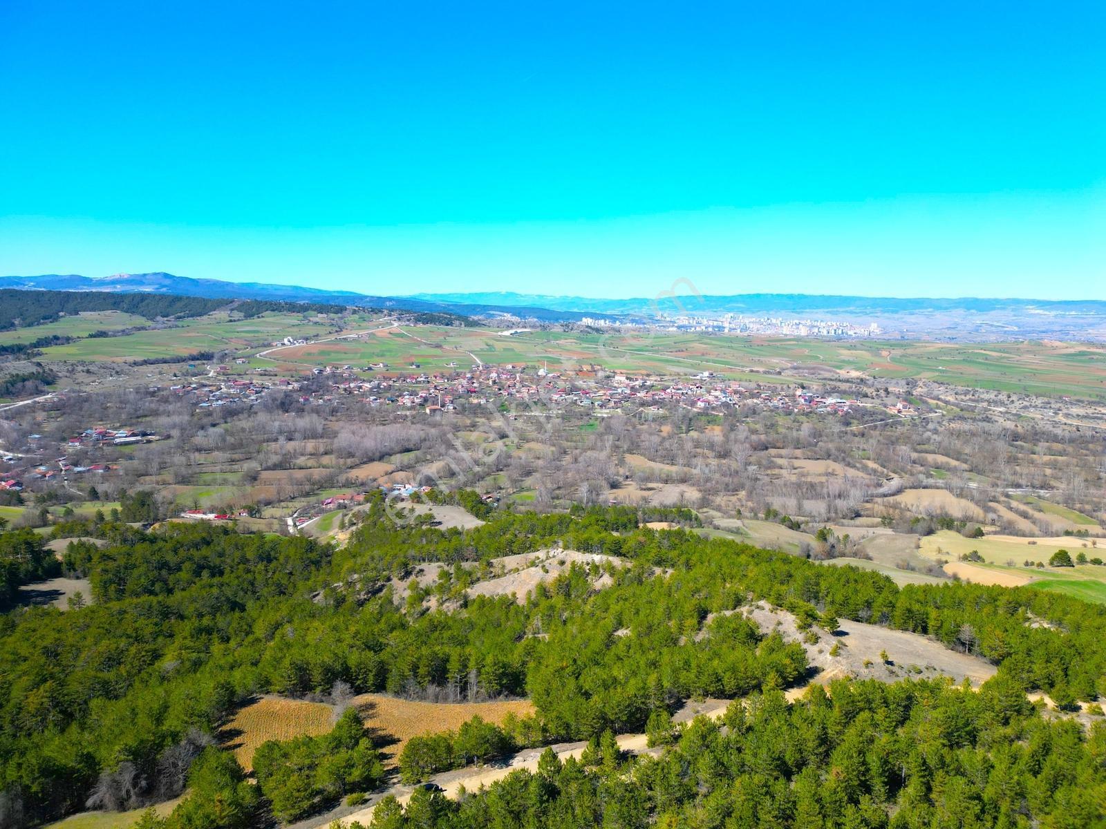 Satılık Saklı Cennet! 7 Dönüm Arazi,3.500 M2'si Özel Çam Ormanlı - Görsel 27