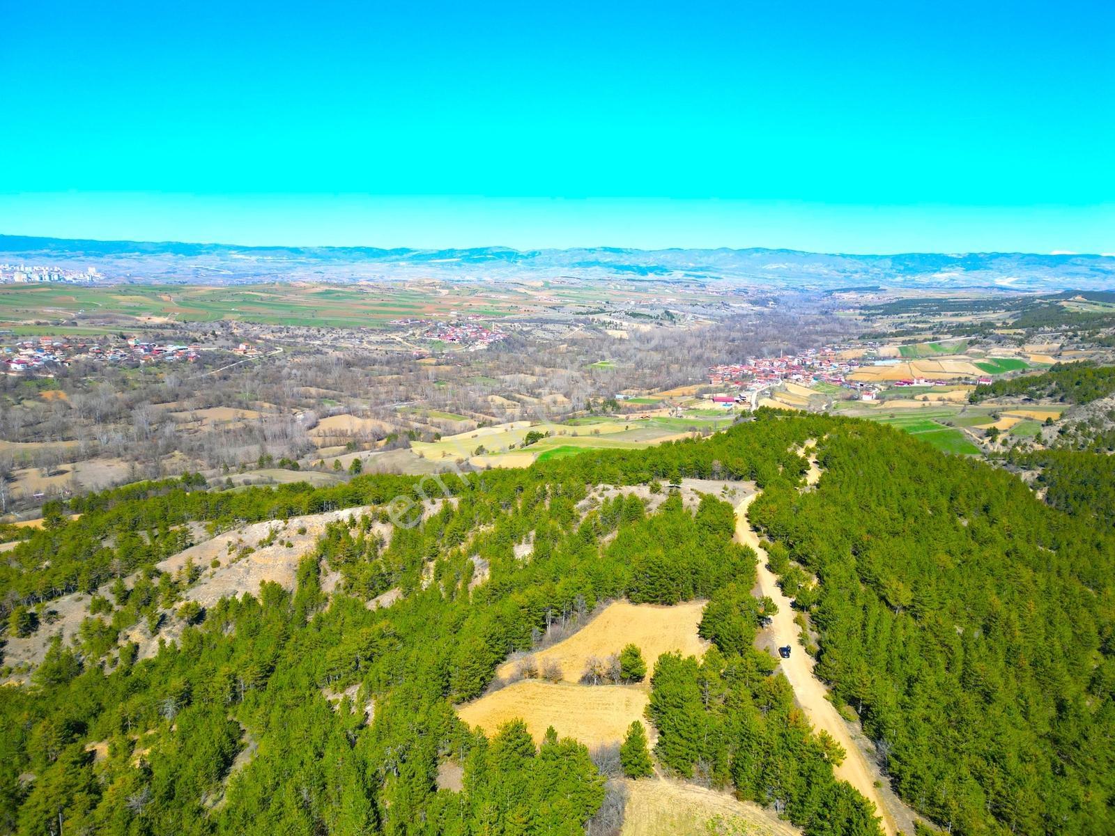Satılık Saklı Cennet! 7 Dönüm Arazi,3.500 M2'si Özel Çam Ormanlı - Görsel 28