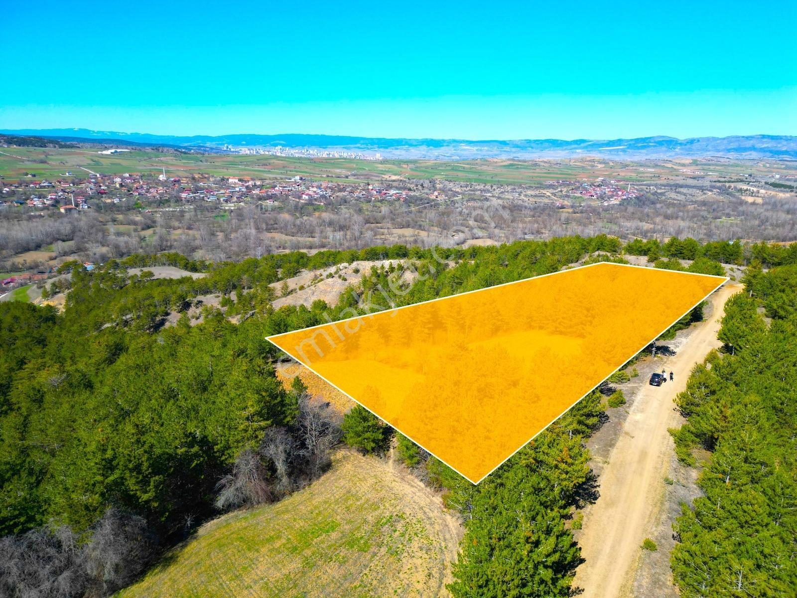 Satılık Saklı Cennet! 7 Dönüm Arazi,3.500 M2'si Özel Çam Ormanlı - Görsel 29
