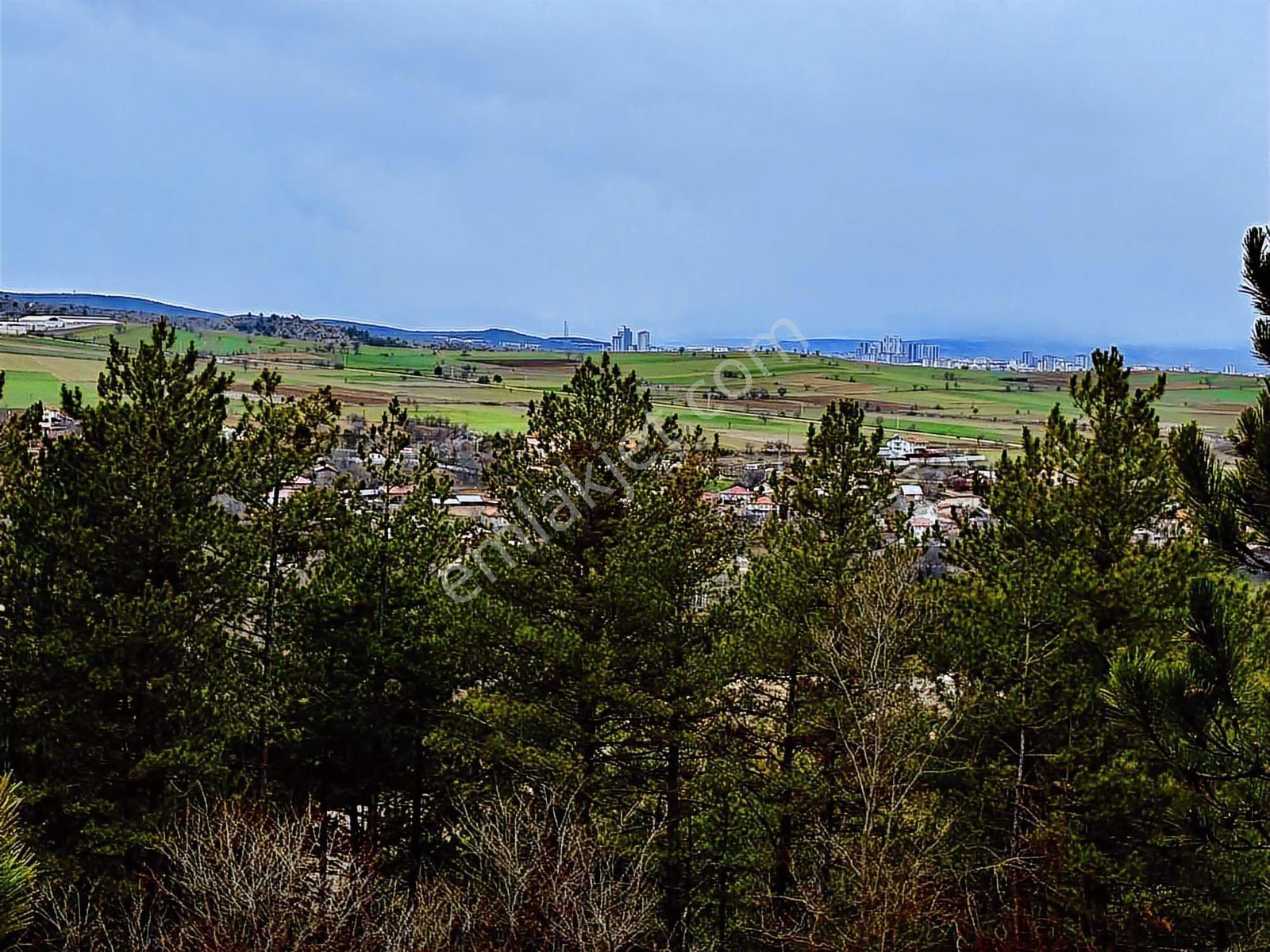 Satılık Saklı Cennet! 7 Dönüm Arazi,3.500 M2'si Özel Çam Ormanlı - Görsel 7