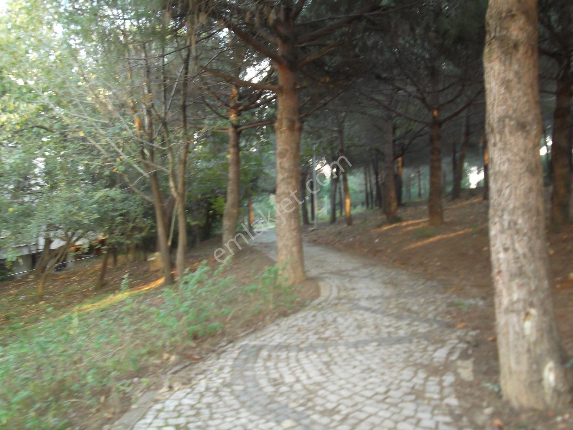 Çekmeköy Rahmi Demir Orman Cepheli Asansörlü 2.arakat 2+1 - Görsel 20