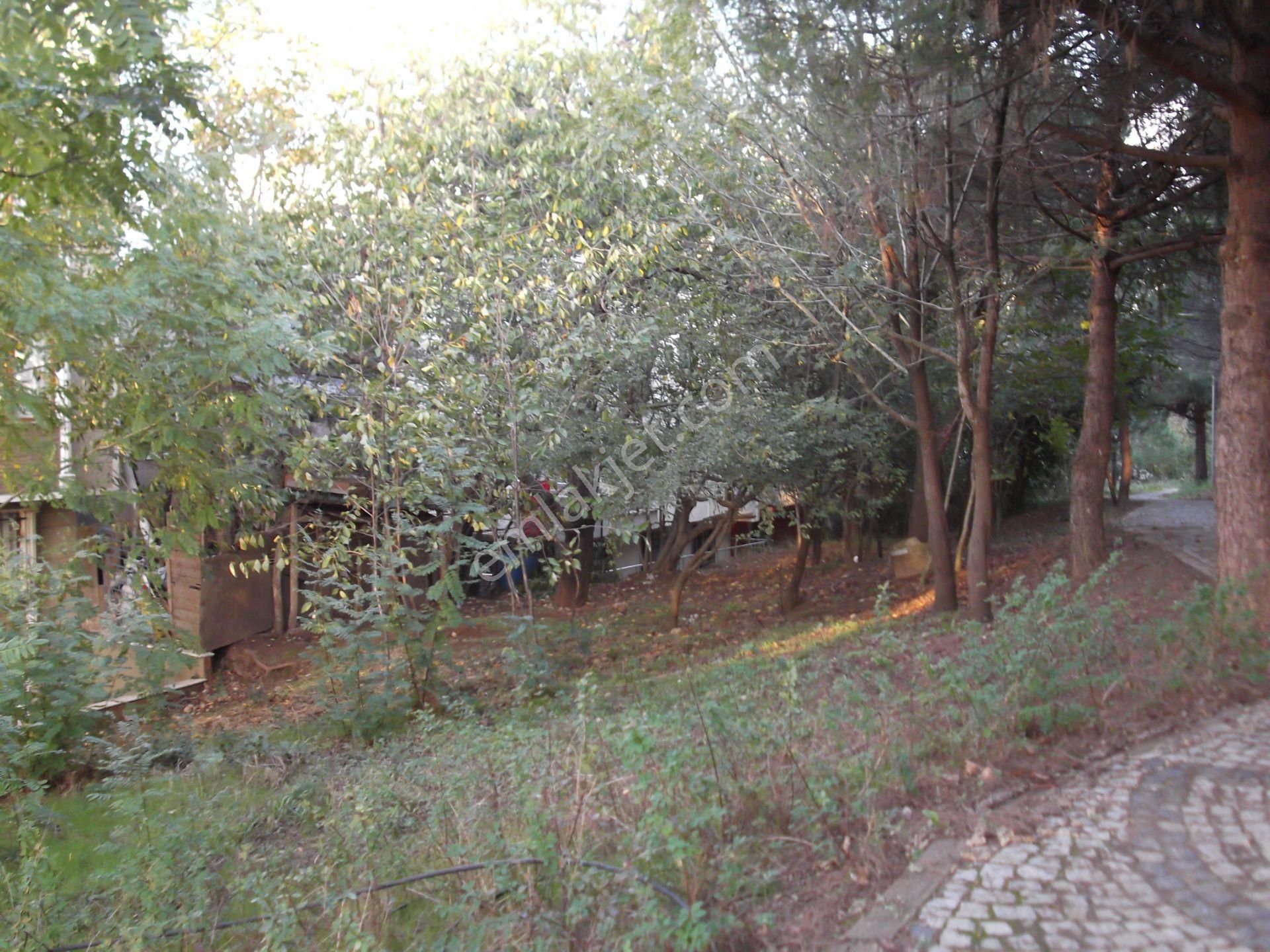 Çekmeköy Rahmi Demir Orman Cepheli Asansörlü 2.arakat 2+1 - Görsel 21