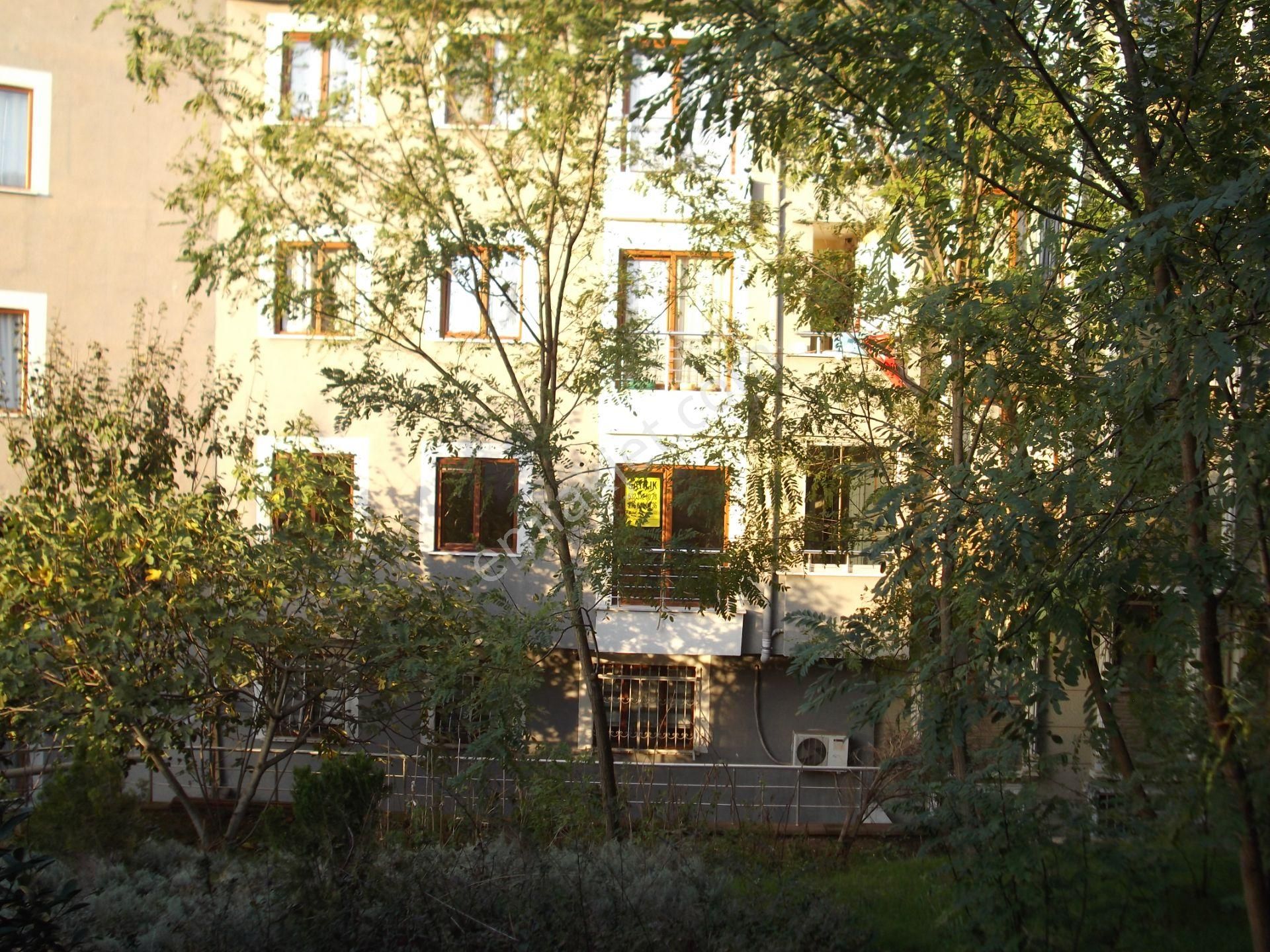 Çekmeköy Rahmi Demir Orman Cepheli Asansörlü 2.arakat 2+1 - Görsel 3