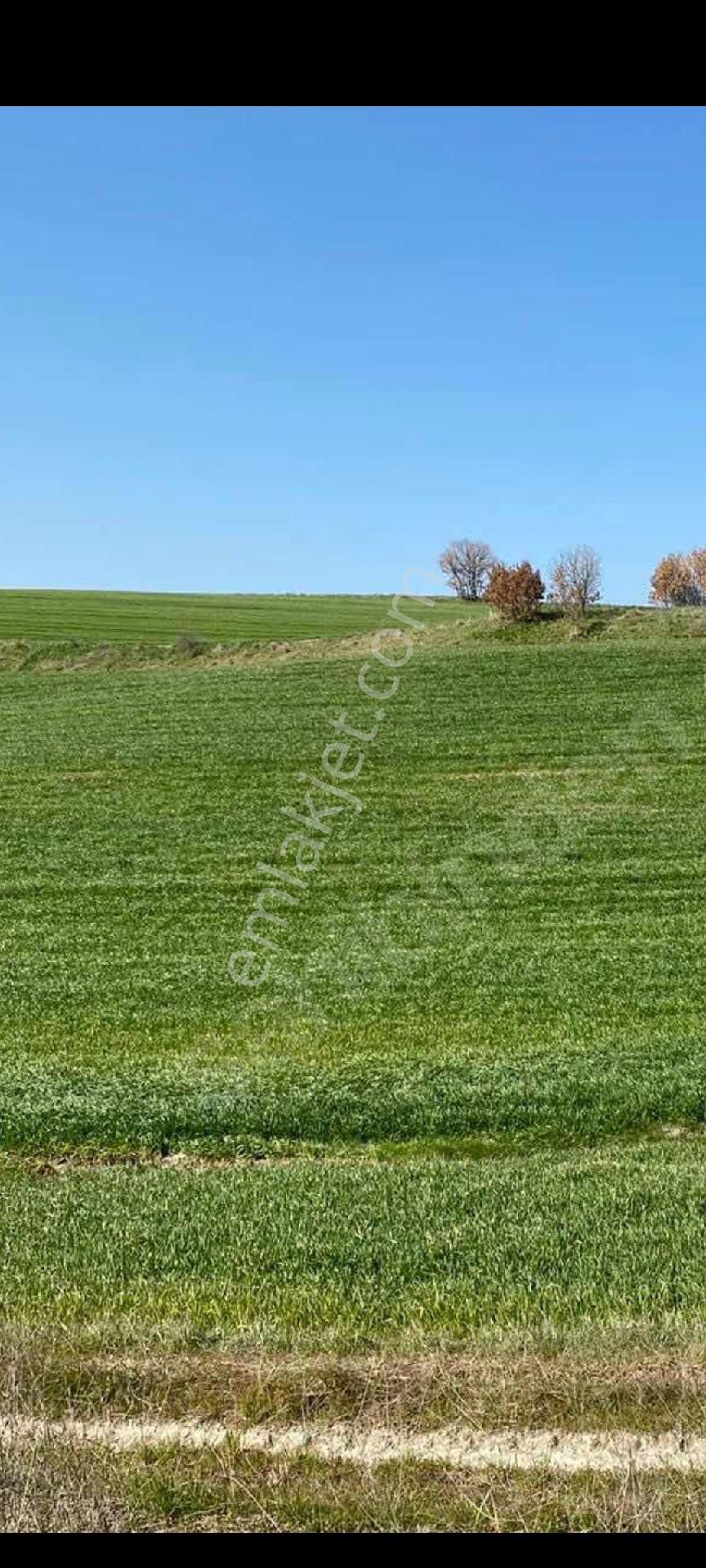 My Ekipdenistanbul Silivri Değirmenköyde Satılık - Görsel 7