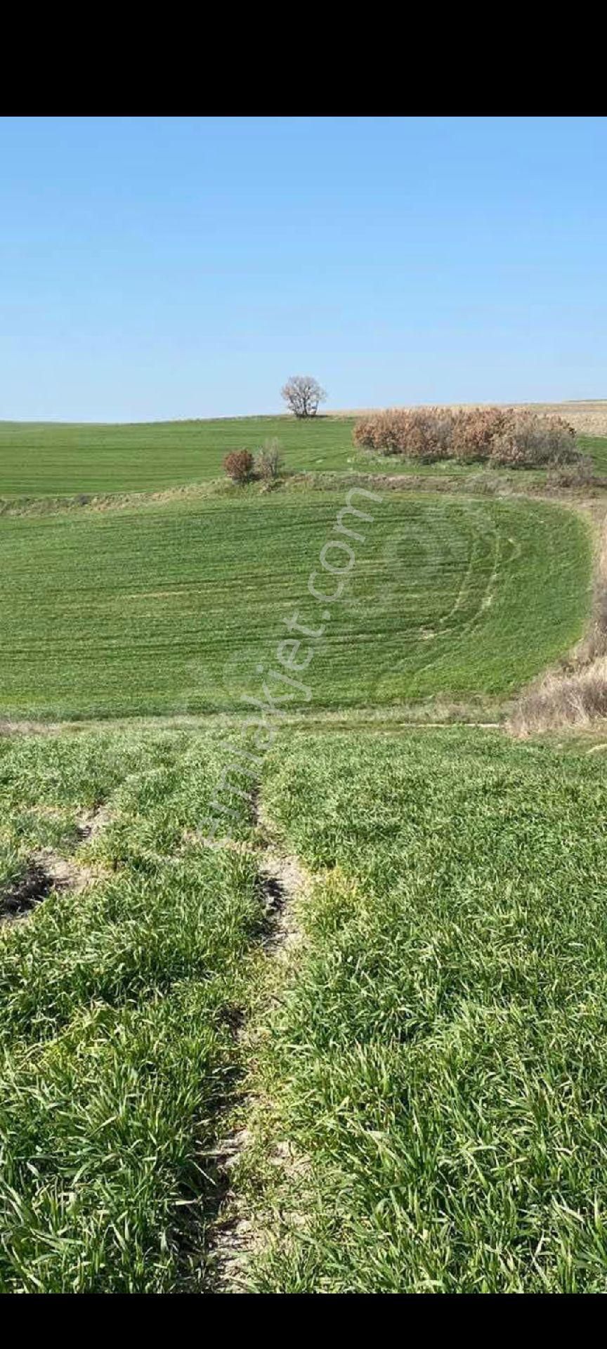 My Ekipdenistanbul Silivri Değirmenköyde Satılık - Görsel 5
