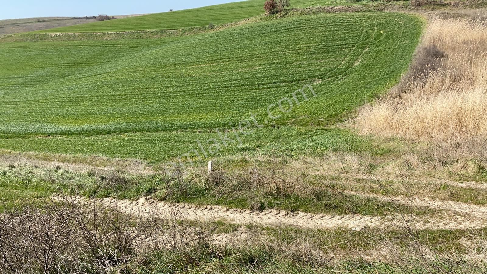 My Ekipdenistanbul Silivri Değirmenköyde Satılık - Görsel 13