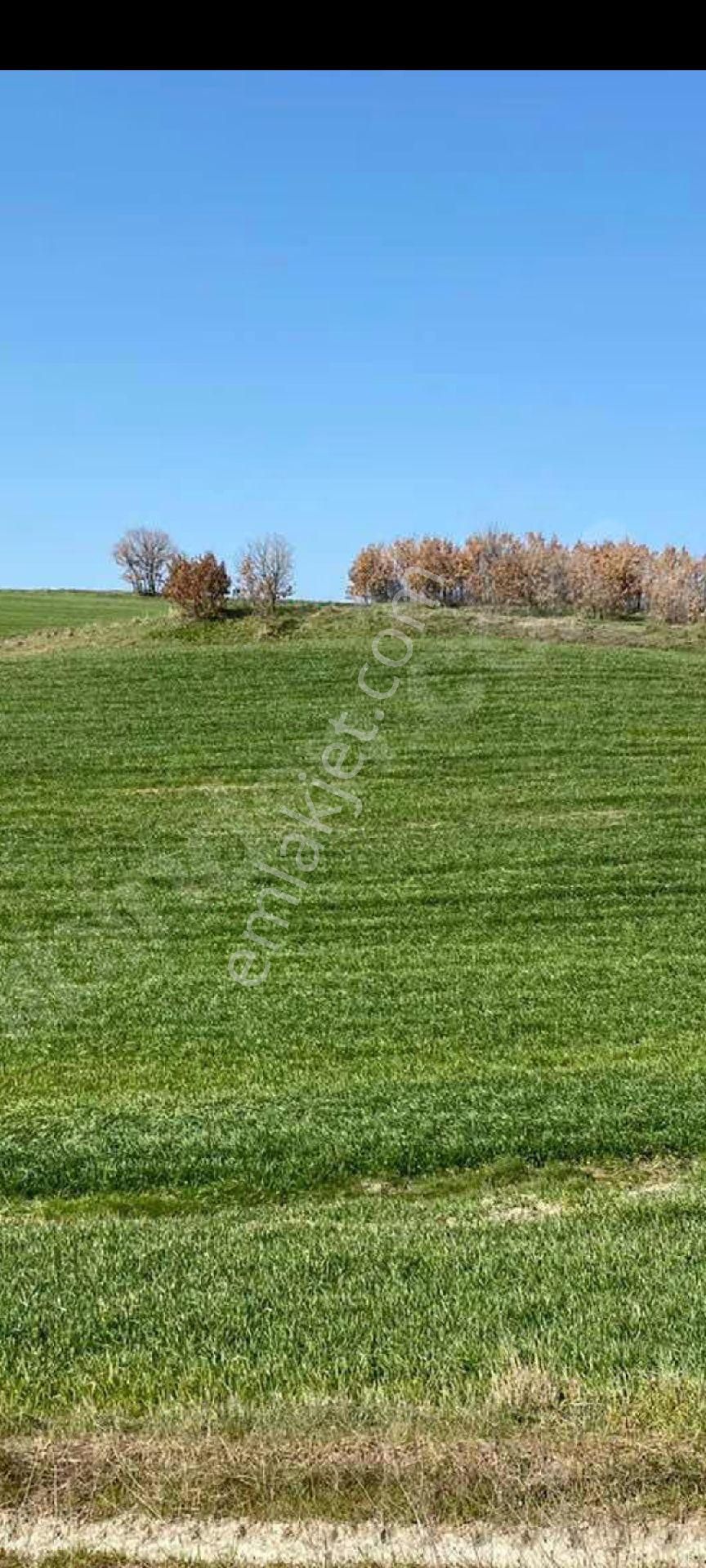 My Ekipdenistanbul Silivri Değirmenköyde Satılık - Görsel 8