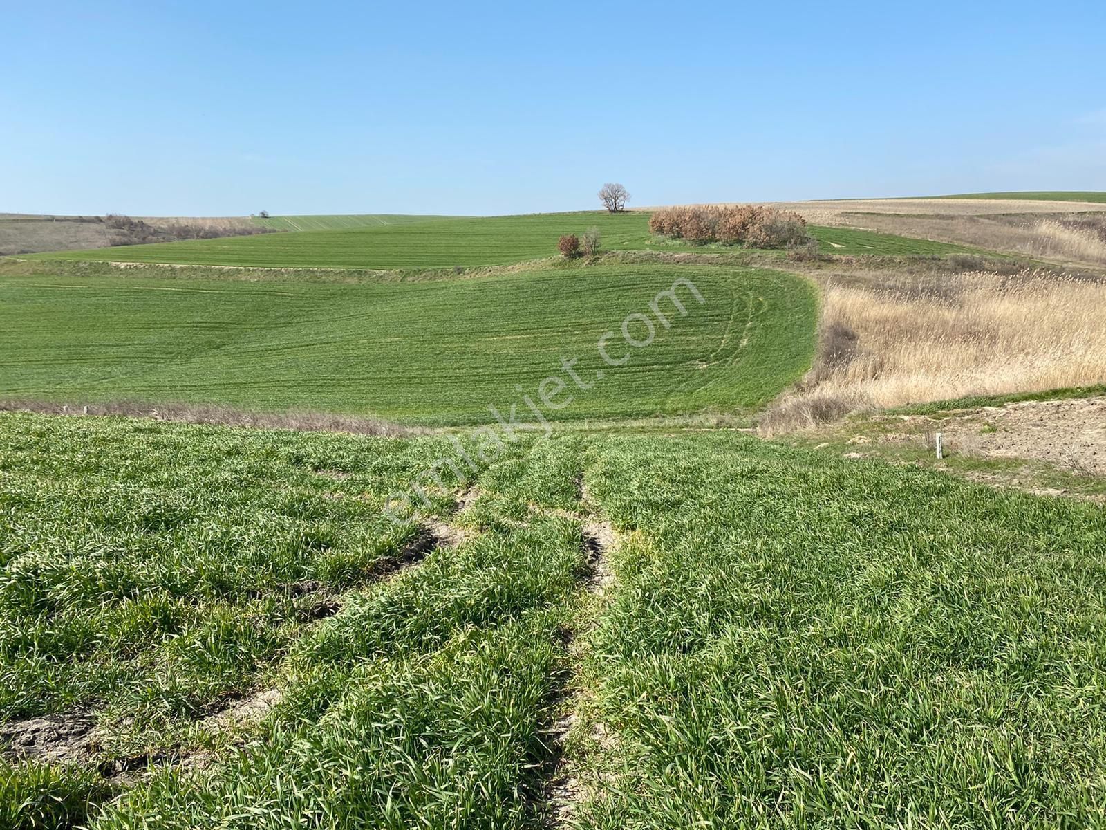 My Ekipdenistanbul Silivri Değirmenköyde Satılık - Görsel 22