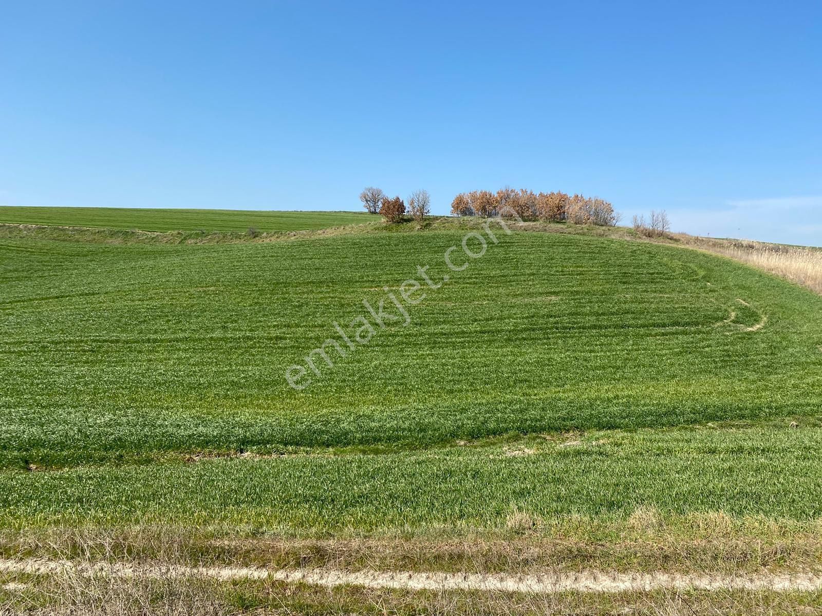 My Ekipdenistanbul Silivri Değirmenköyde Satılık - Görsel 23