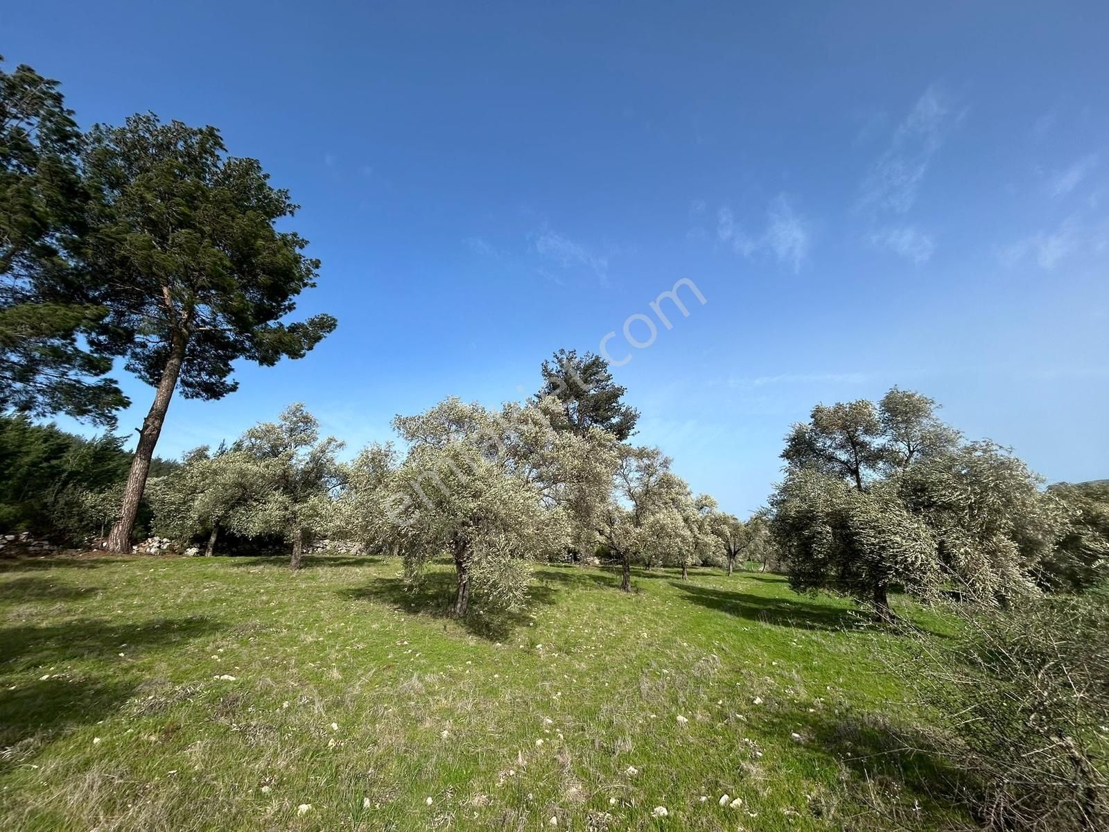 Akbaşlar Gayrimenkul Milas Gökçeler Mahallesin'de Fırsat Arazi