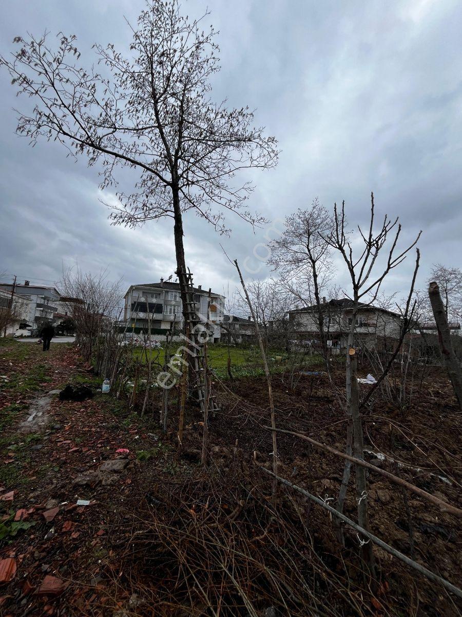 Acil Satılık Arsa Görgülü Emlaktan 537 M² - Görsel 2