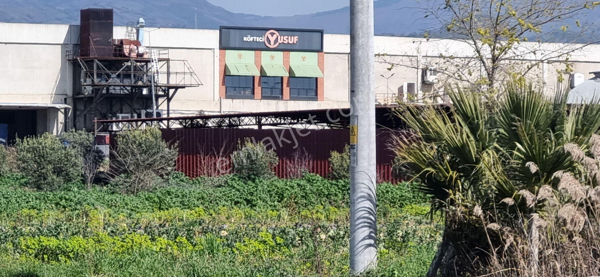 Aydın Nazilli Yöntem Emlaktan İsabeyli Mahallesinde Bamboo Avm'nin Alt Tarafında Satılık Tarla