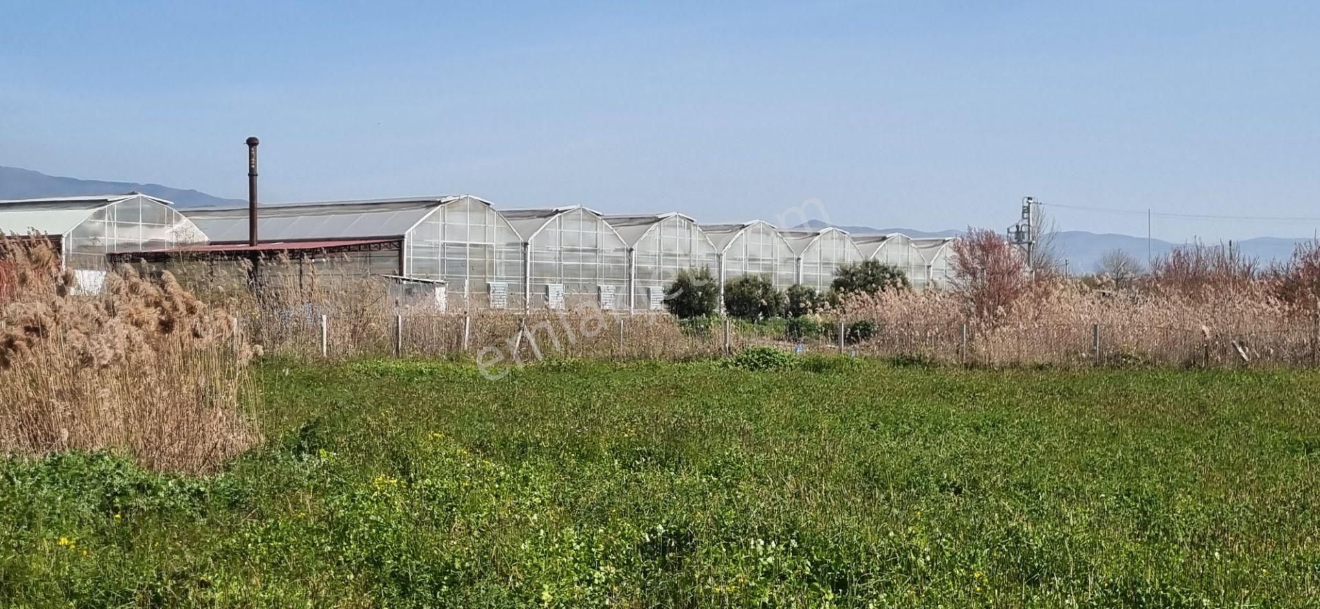 Aydın Nazilli Yöntem Emlaktan İsabeyli Mahallesinde Bamboo Avm'nin Alt Tarafında Satılık Tarla - Görsel 11