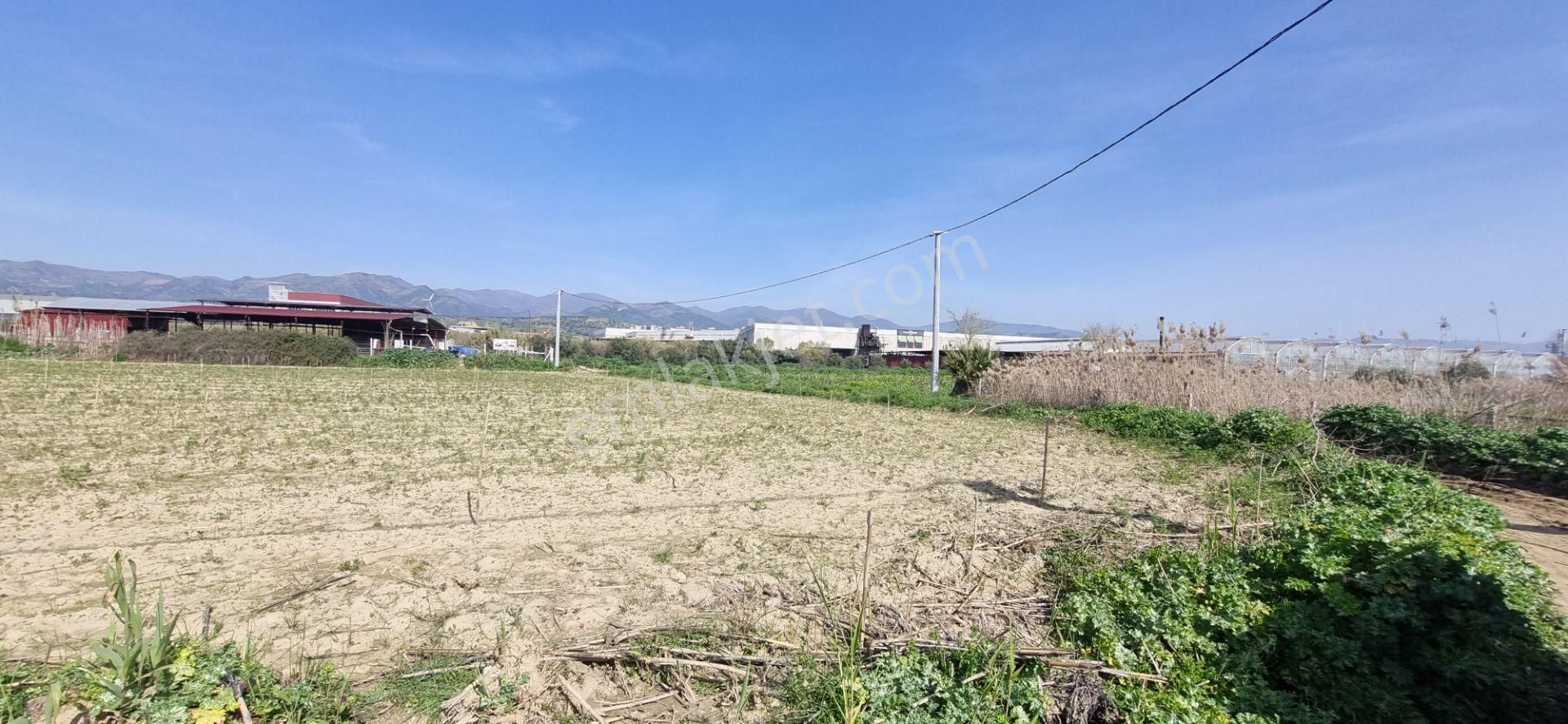 Aydın Nazilli Yöntem Emlaktan İsabeyli Mahallesinde Bamboo Avm'nin Alt Tarafında Satılık Tarla - Görsel 5