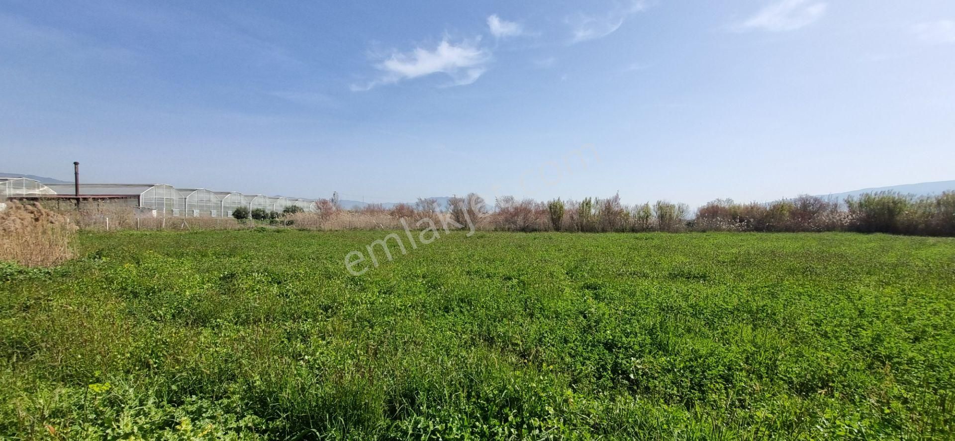 Aydın Nazilli Yöntem Emlaktan İsabeyli Mahallesinde Bamboo Avm'nin Alt Tarafında Satılık Tarla - Görsel 10